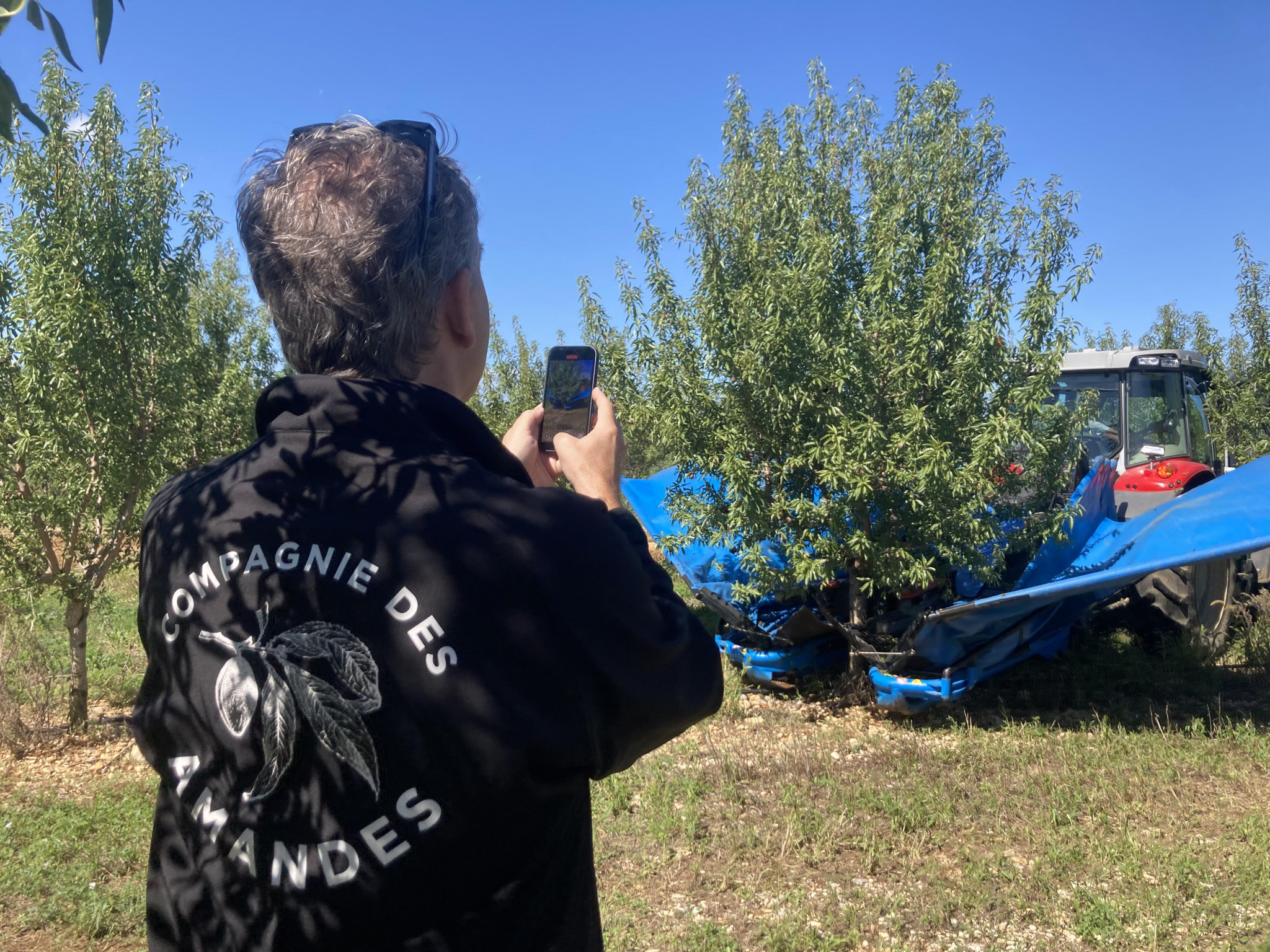 La Compagnie des amandes sur la voie de la rentabilité