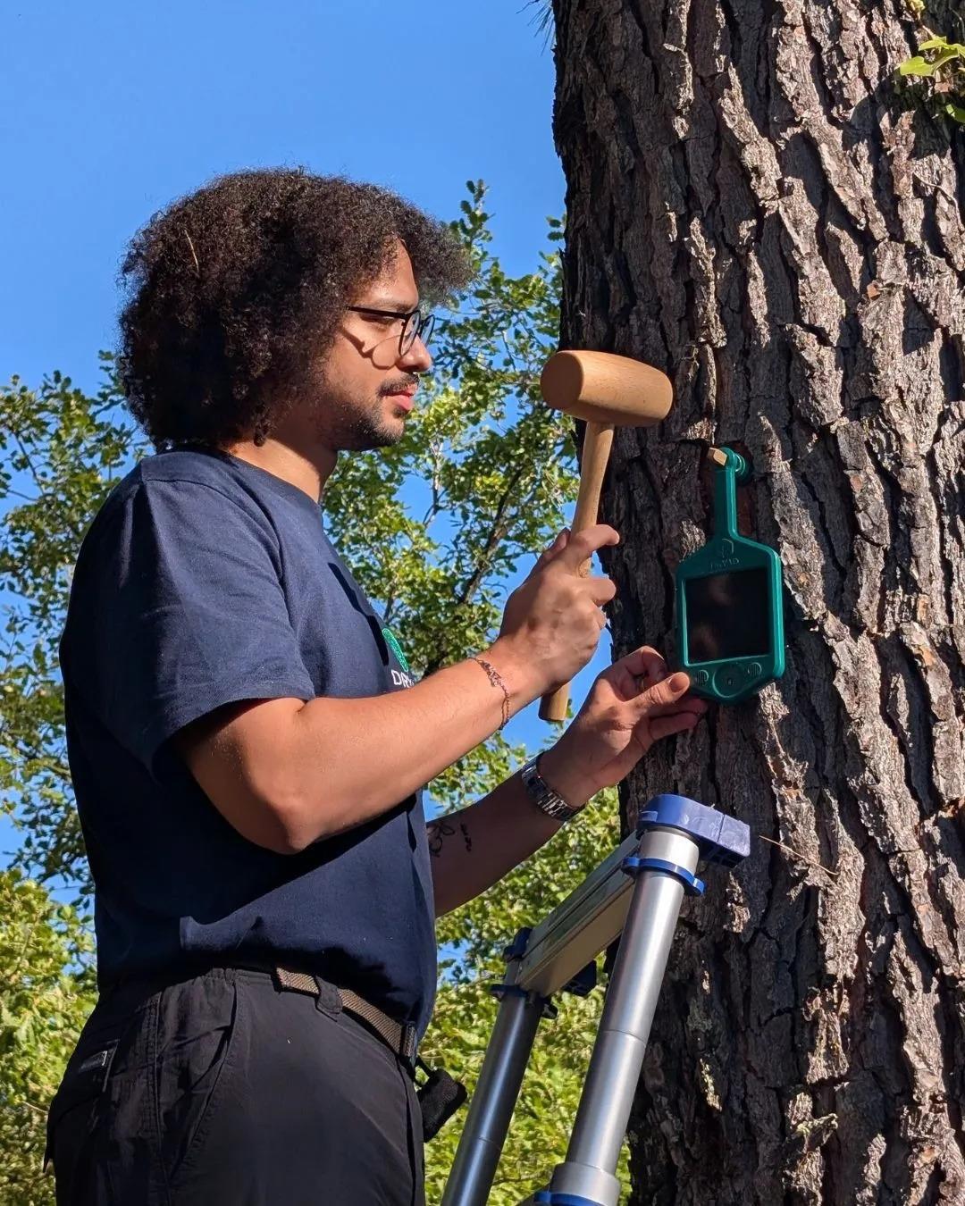 Pont du Gard : quand l’espace surveille la forêt