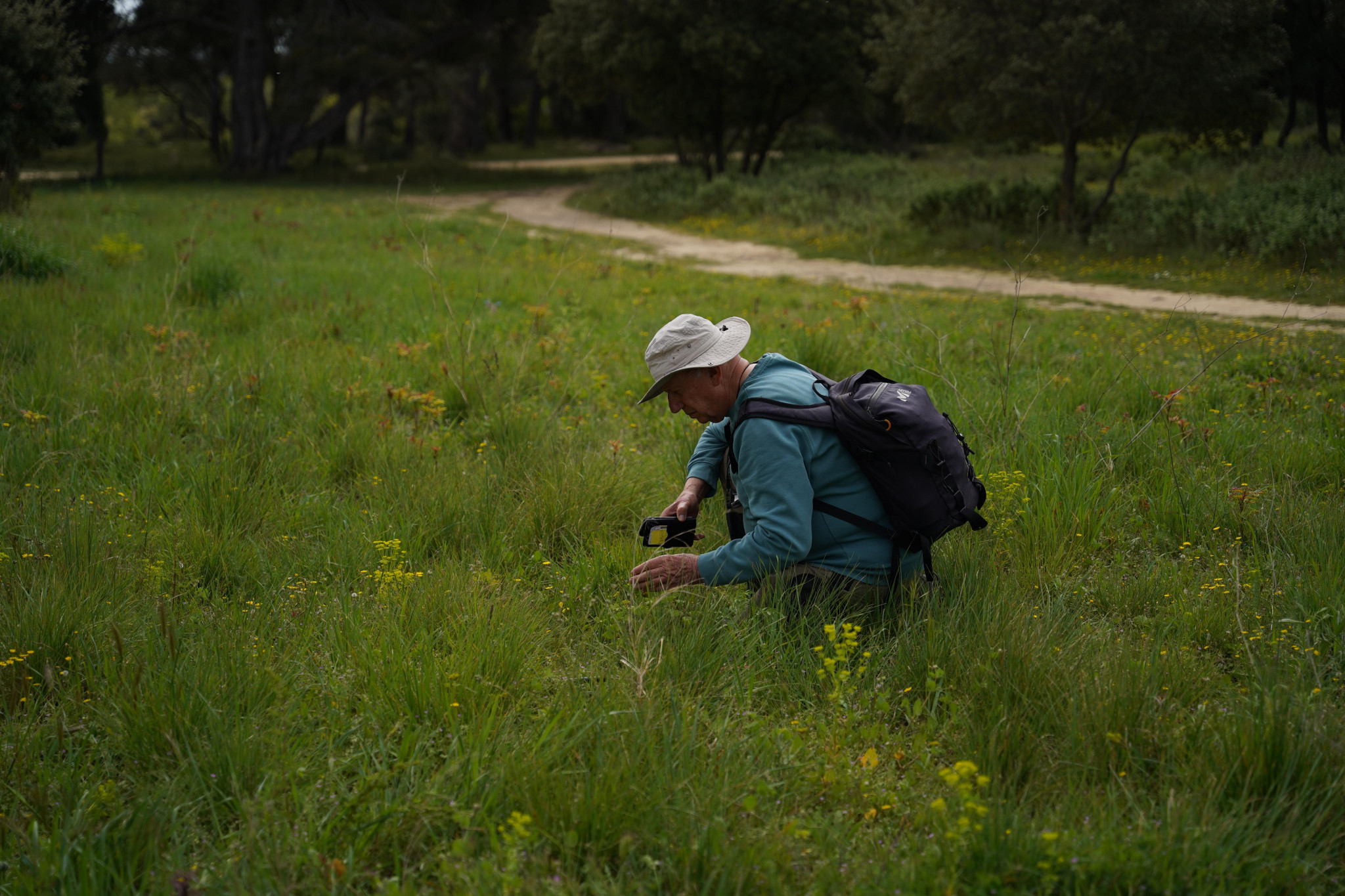 Un inventaire participatif de la faune et de la flore