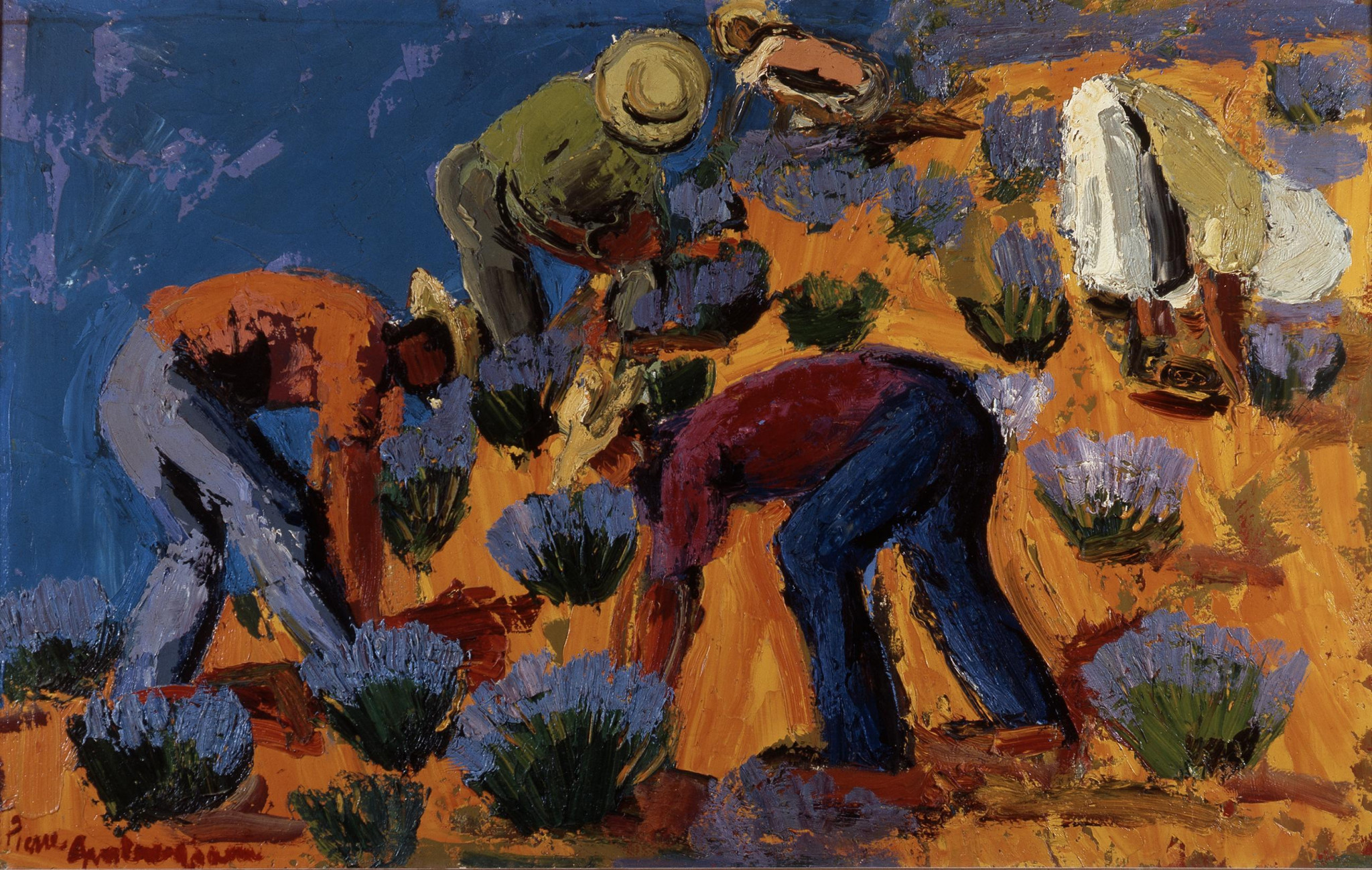 Ambrogiani aux avant-postes de la couleur