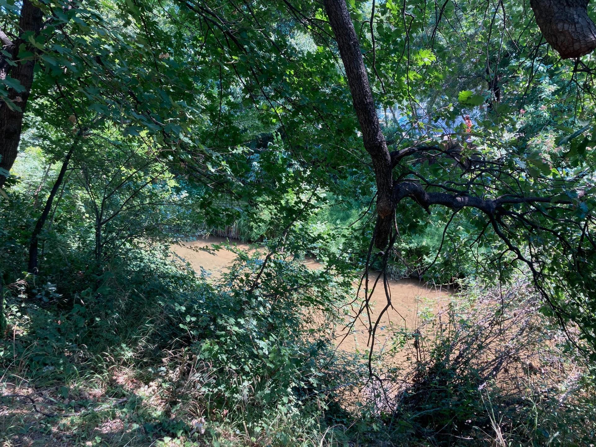 Le collectif de l’Huveaune s’inquiète pour des arbres du parc de la Botte