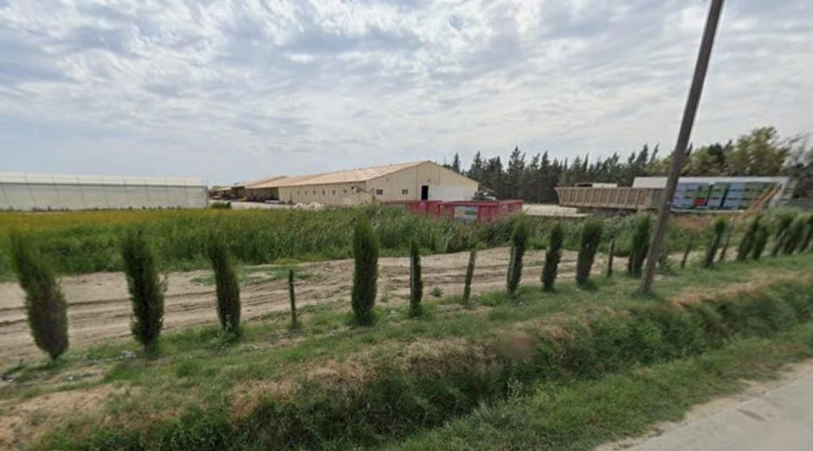 Forages illégaux : le roi des salades doit cette fois aligner l’oseille