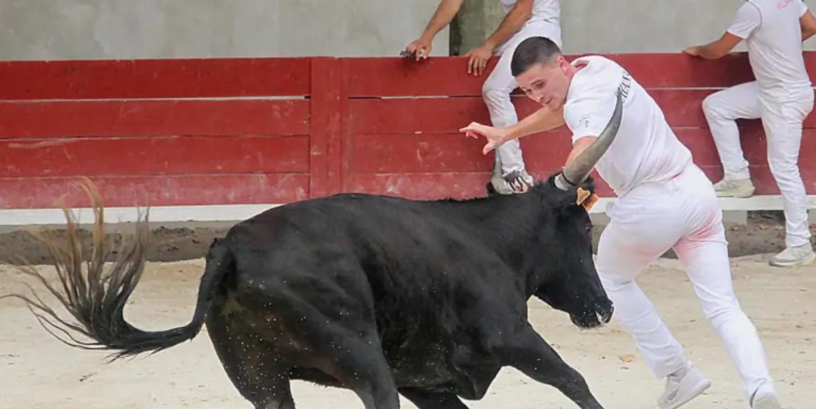 Les courses camarguaises ont trouvé un nouvel assureur pour l’an prochain