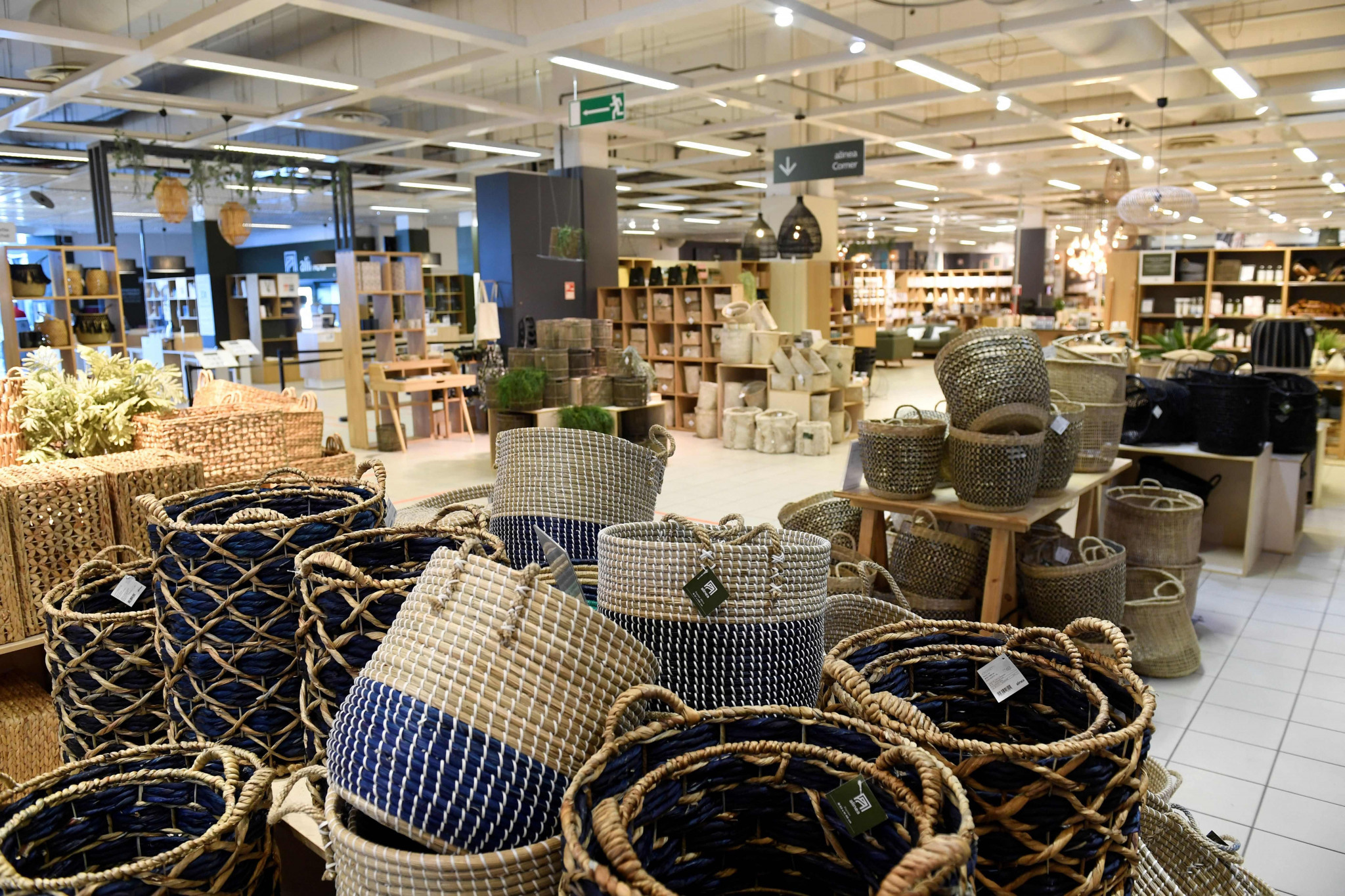 Alinea doit proposer un plan de relance