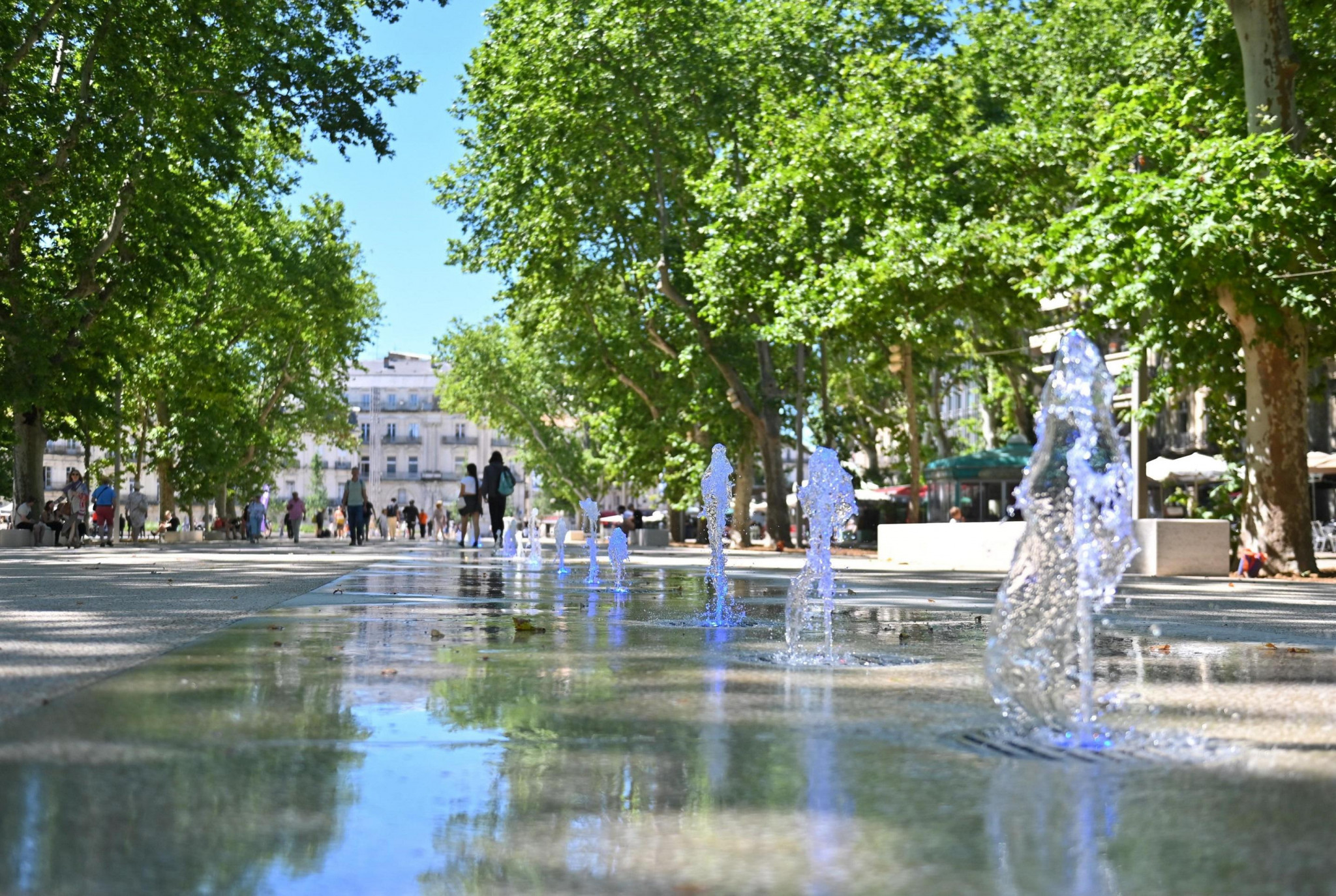 Montpellier végétalise pour «&nbsp;rafraîchir » la ville