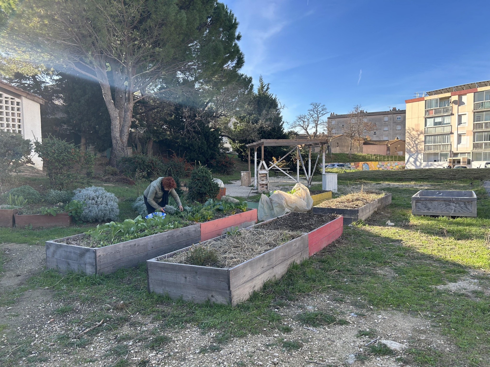 Dans le quartier de Tassy, à Port-de-Bouc, le compost collectif nourrit le jardin partagé
