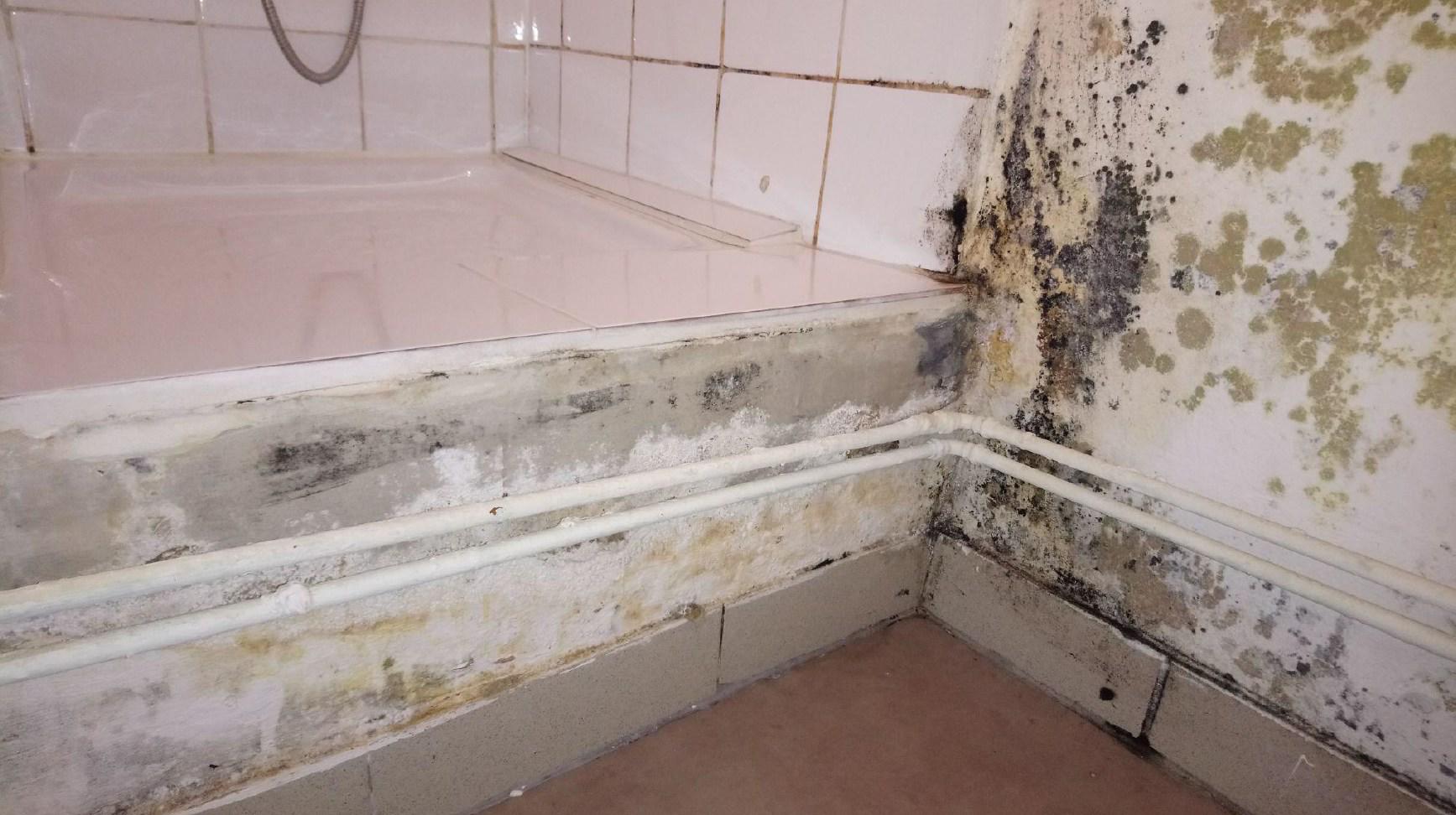13 Habitat de marbre même devant un arrêté d’insalubrité