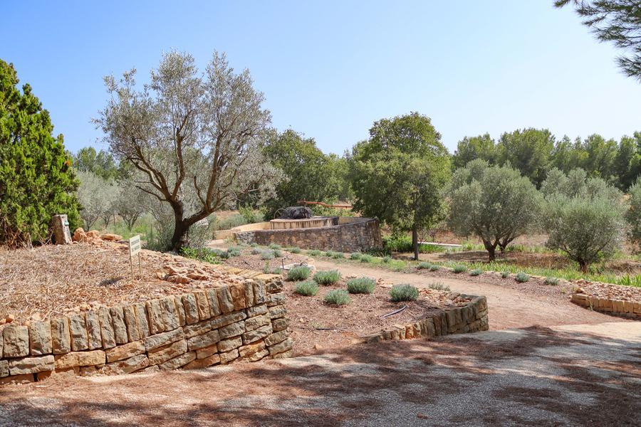 La Sainte-Baume à travers les contes