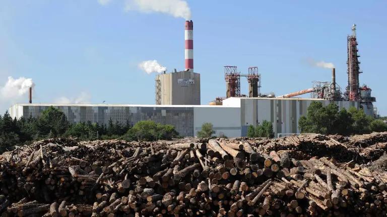 FO s’inquiète de l’arrêt de l’usine Fibre Excellence