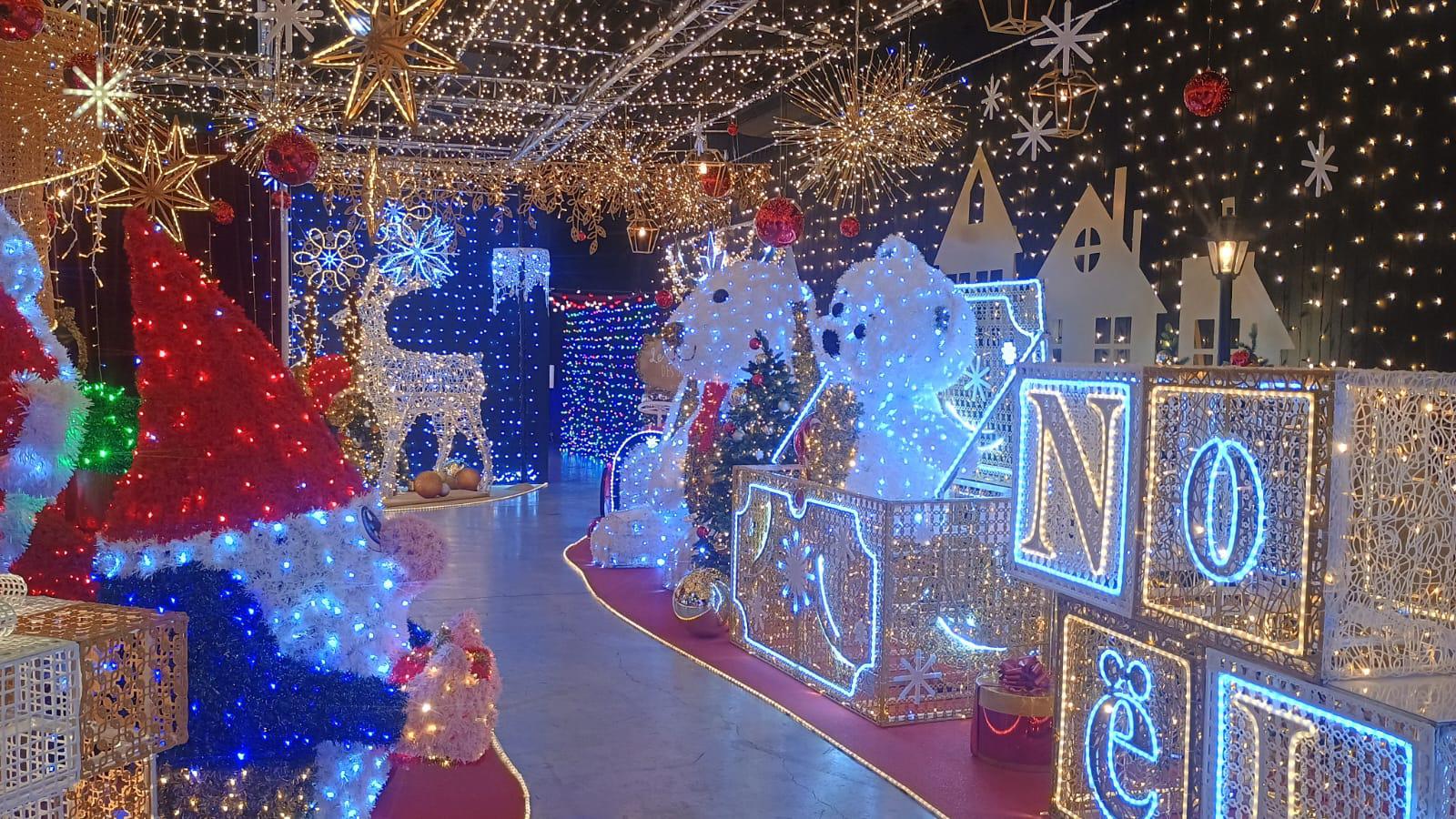 Blachère, le roi des illuminations festives