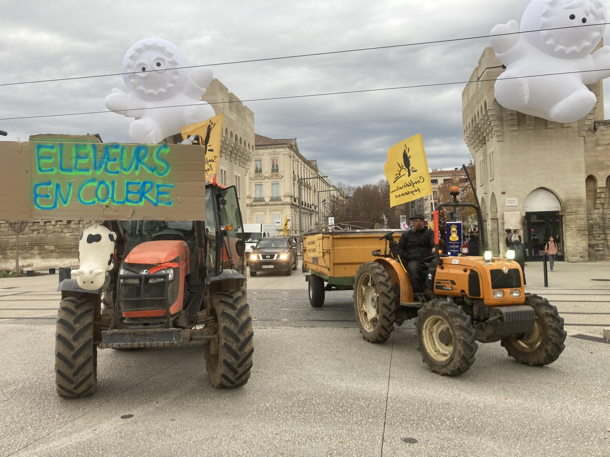 Les agriculteurs réclament la vaccination au lieu de l’abattage