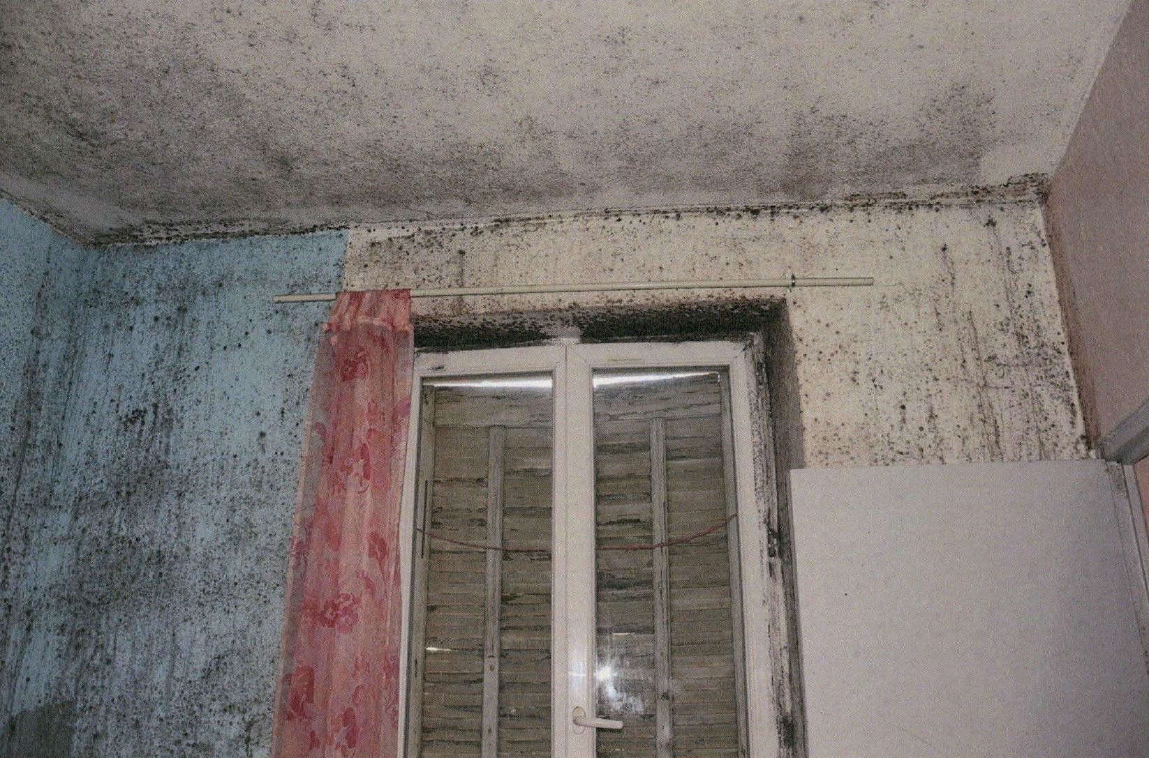 [Rétrospective logement 2025 1/2] Un combat avec des hauts et des couacs