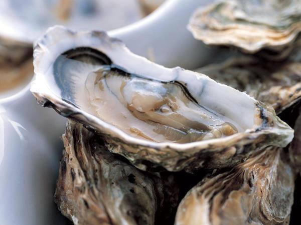 es huîtres et moules interdites à la vente