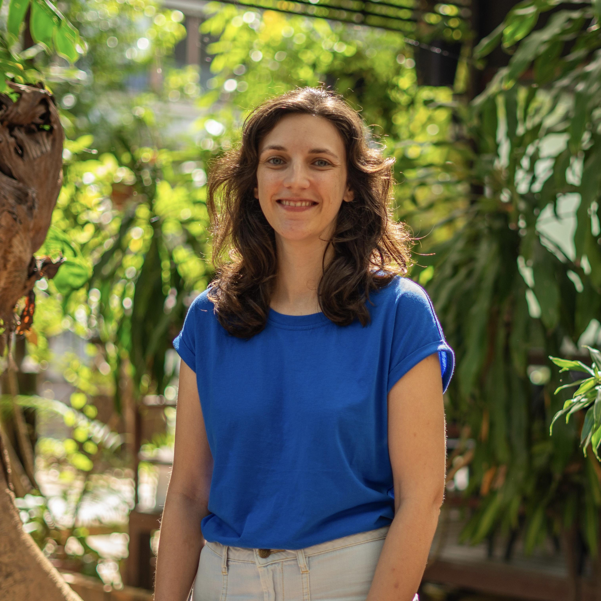 « Le moustique tigre est une espèce très opportuniste qui s’adapte vite »