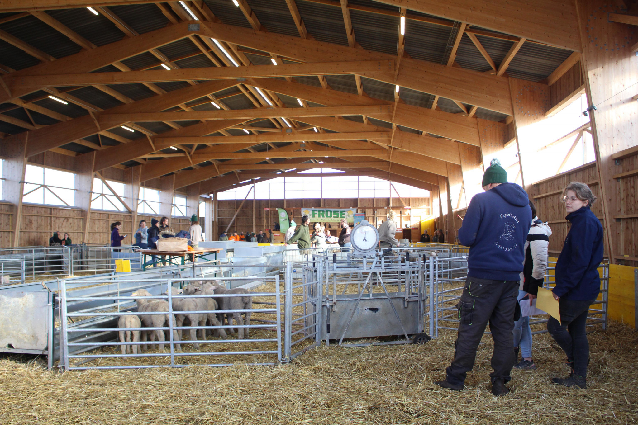 Un concours de bergers pour assurer la relève agricole