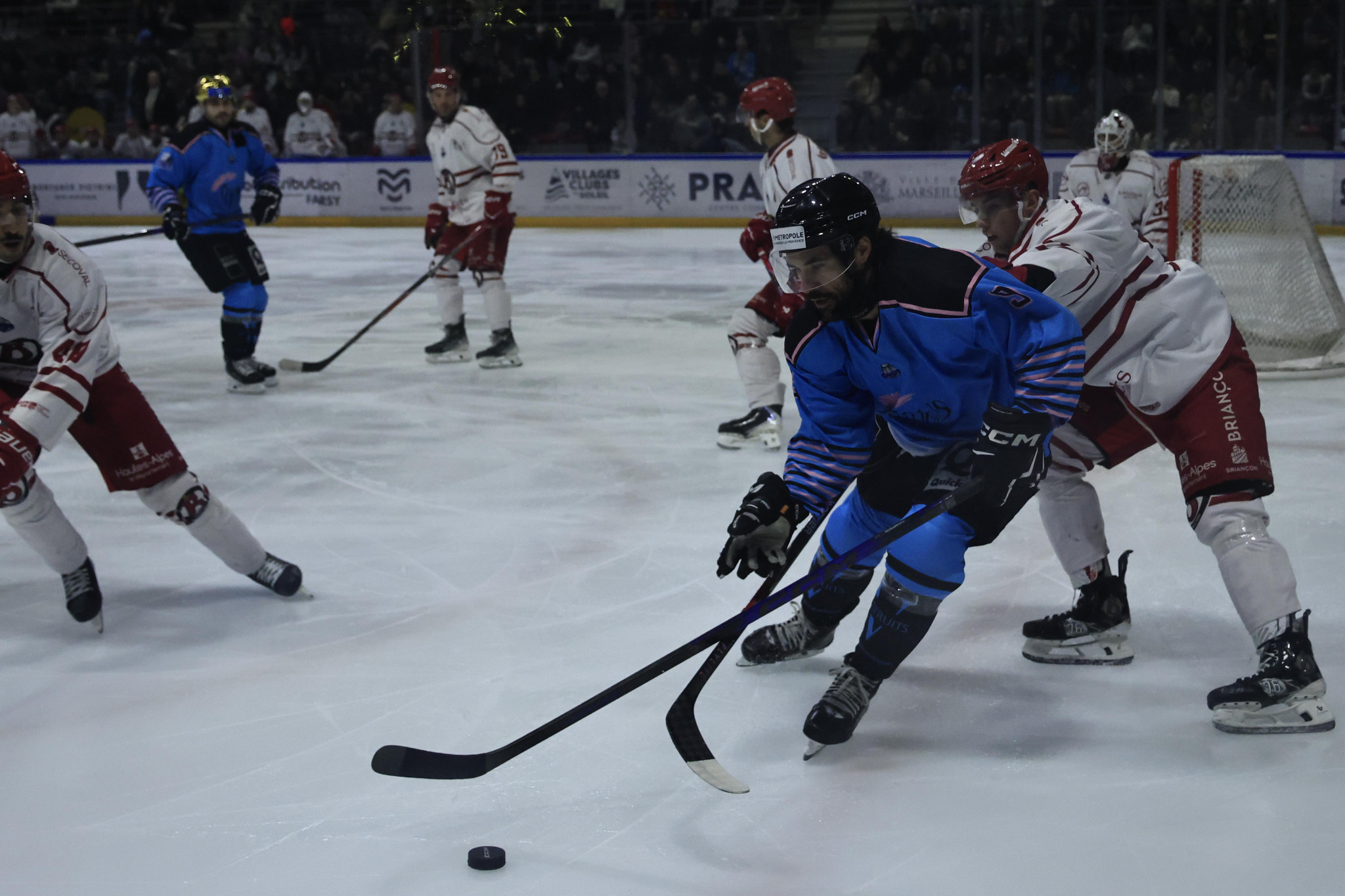 Les Spartiates affrontent des Ducs en grande forme