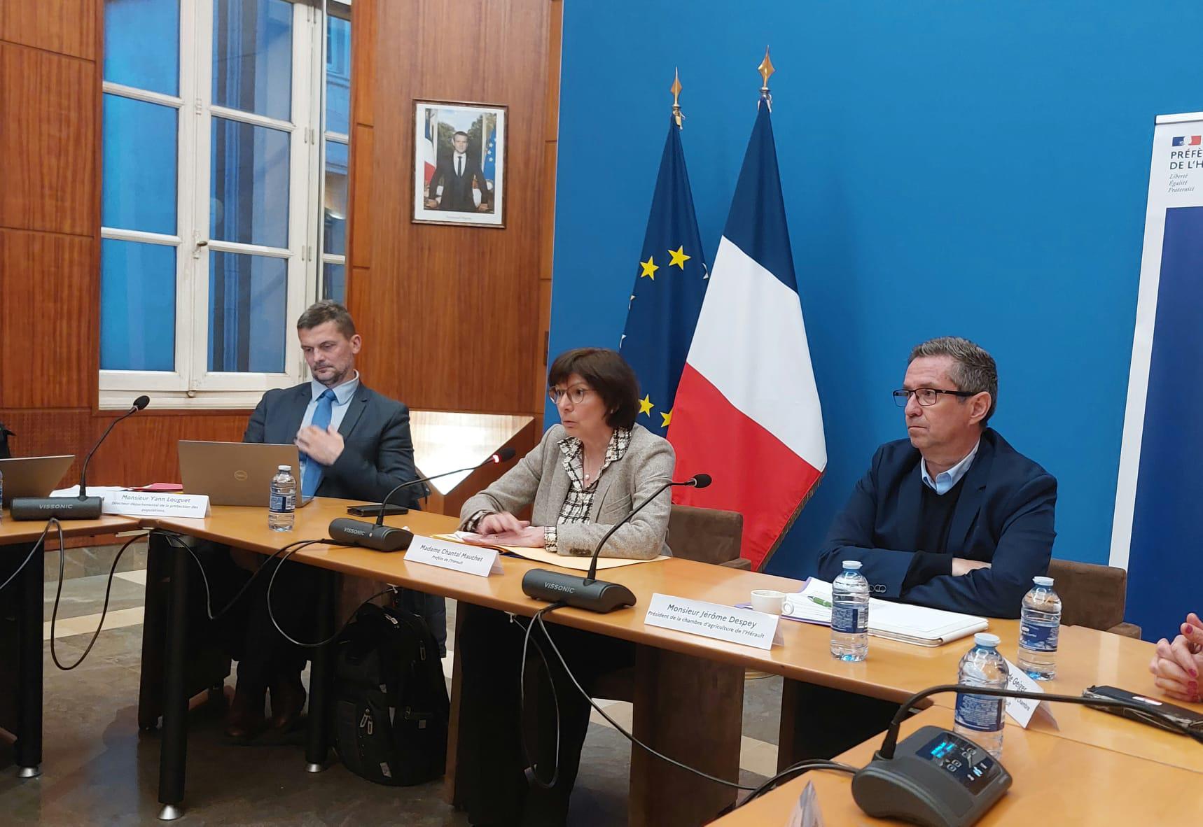 Dans l’Hérault, plus de la moitié des bovins vaccinés