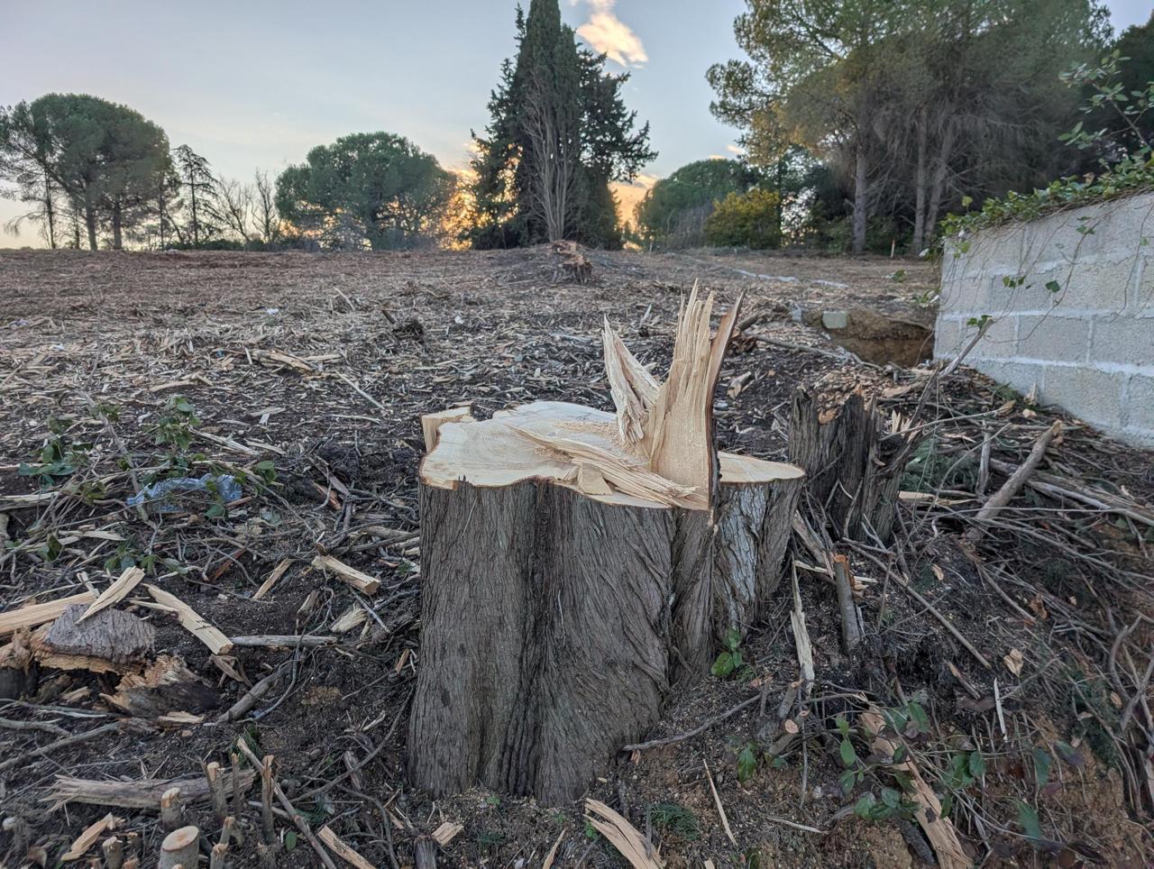 Les anti-projet de Vinci vont mettre les candidats sur le gril à Montpellier