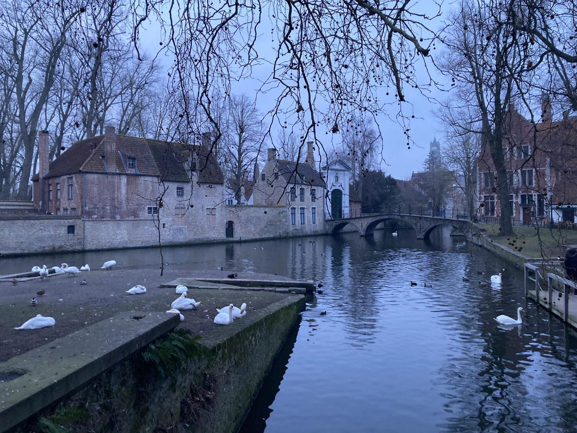 [Carte postale] L’OM a rendez vous avec son histoire à Bruges