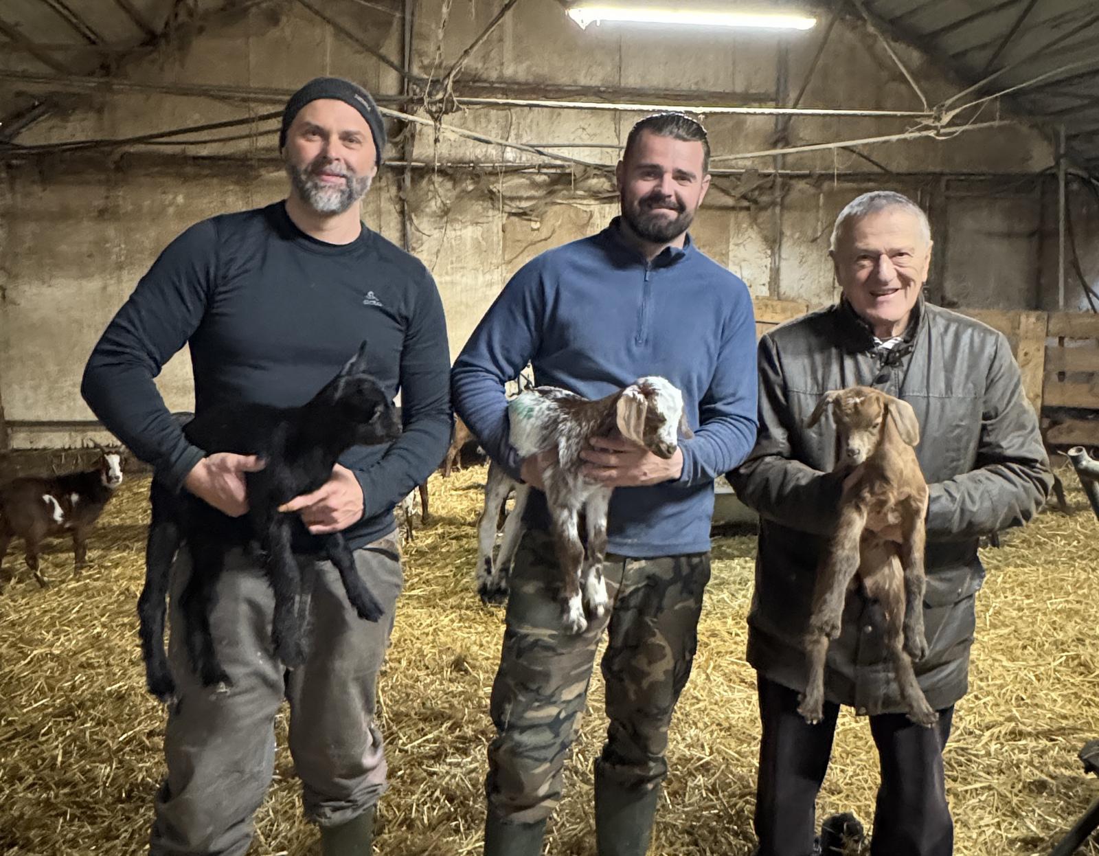 Le Rove : la brousse AOP est enfin de retour !