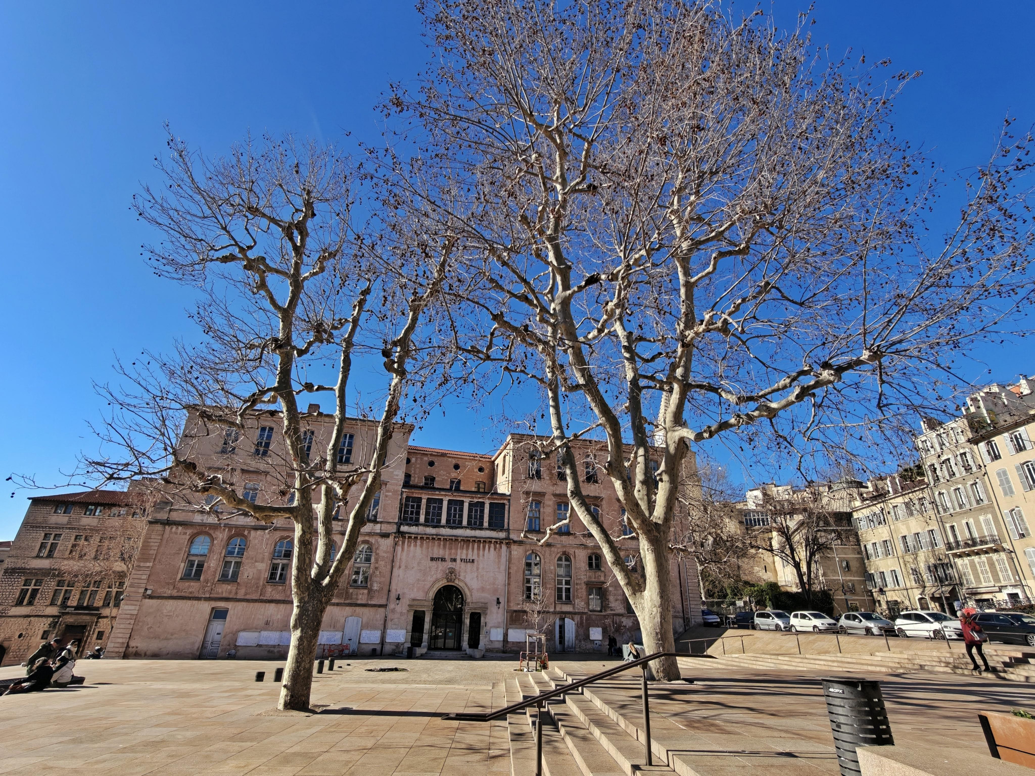Place Bargemon, encore un platane à abattre