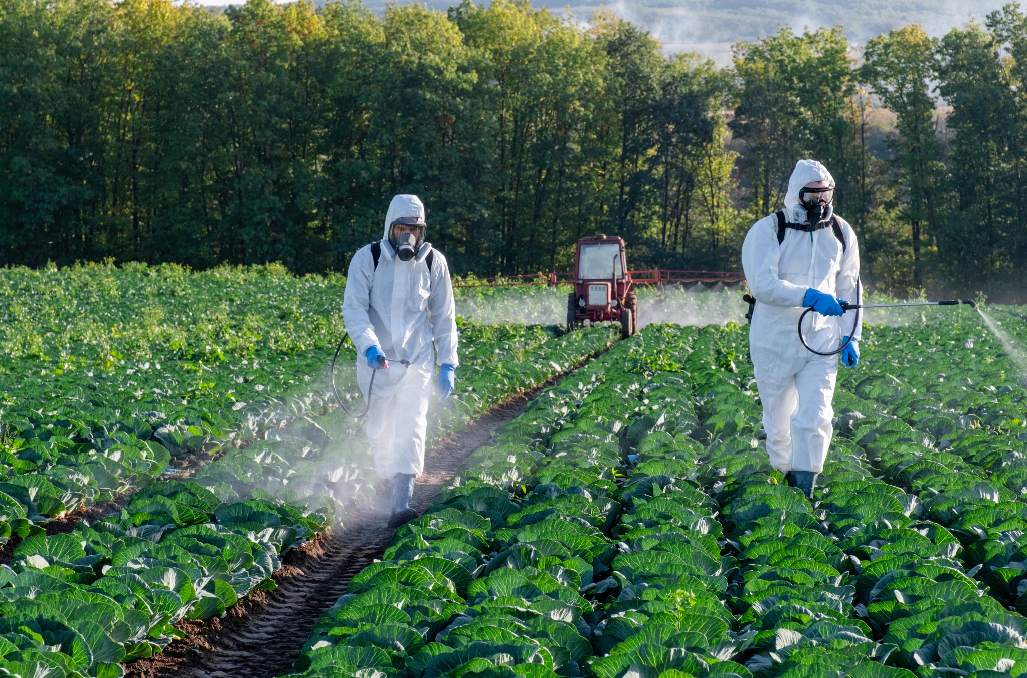 Procès à Marseille sur un trafic de pesticides interdits