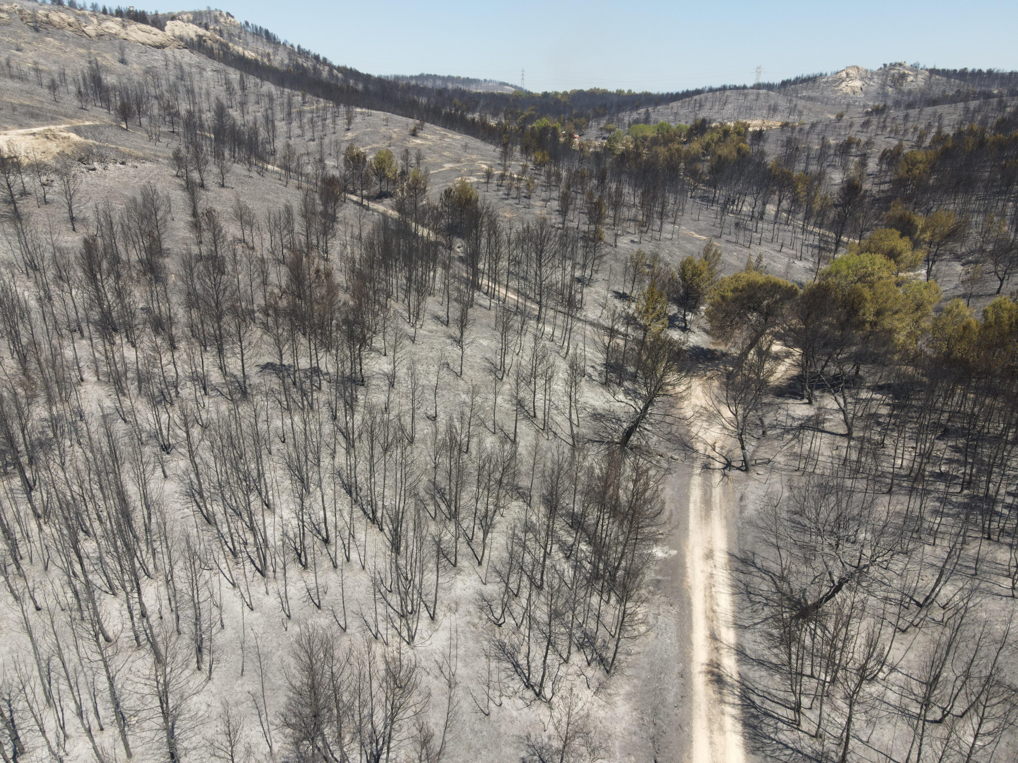 Bouches-du-Rhône : trois plans de massif à revoir pour mieux prévenir les feux