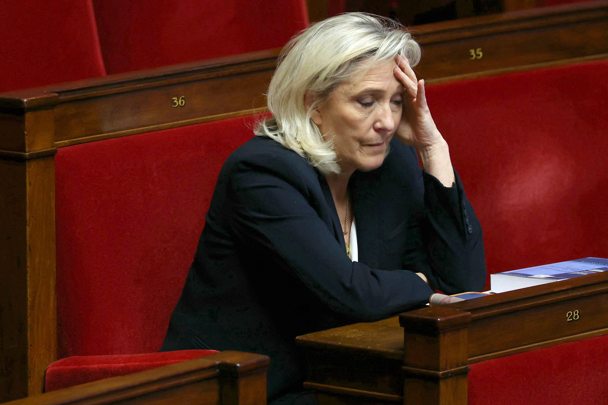 L’avenir politique de Marine Le&nbsp;Pen se joue en appel