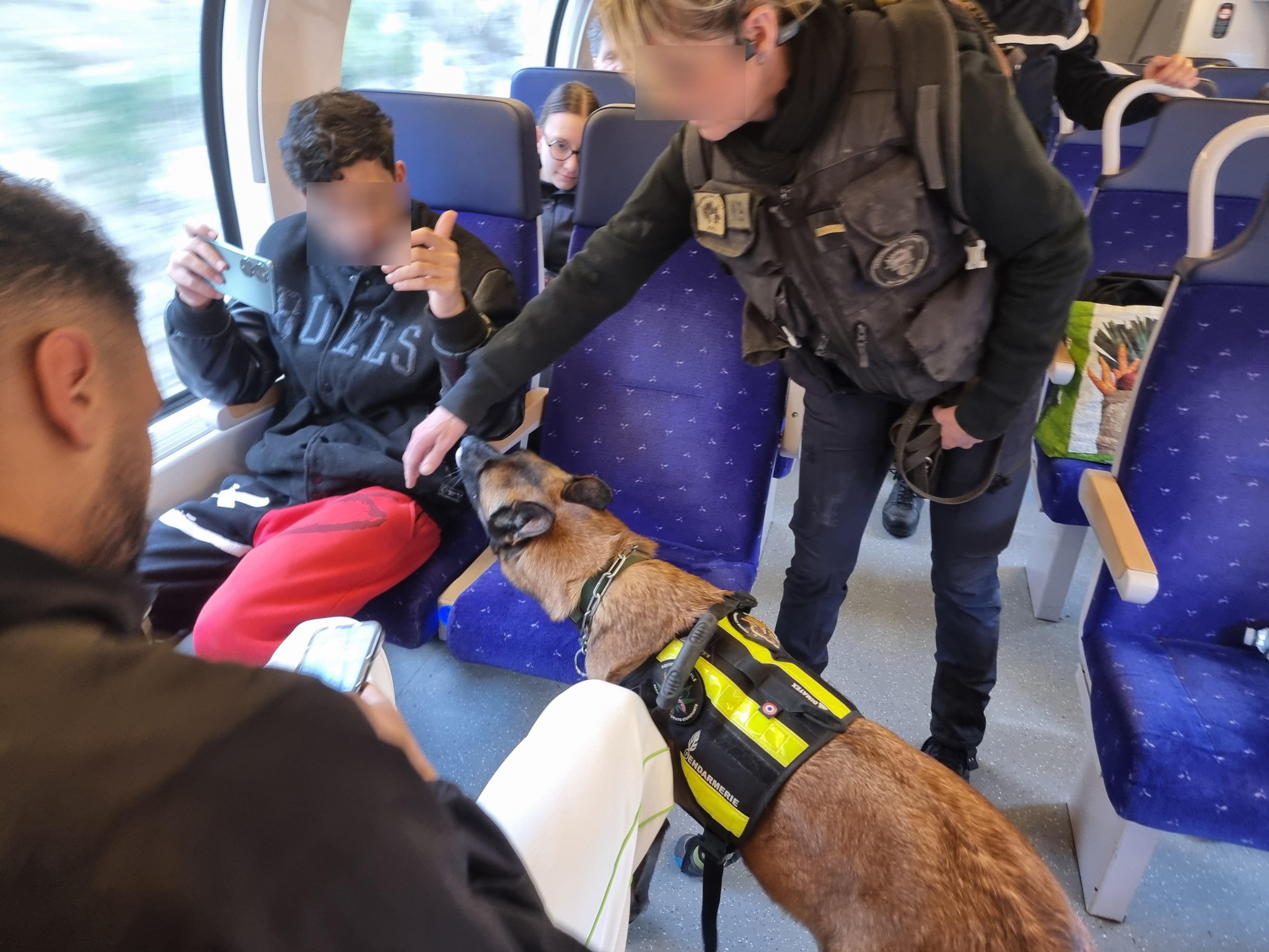 Le chien, atout précieux dans la lutte contre le stup’