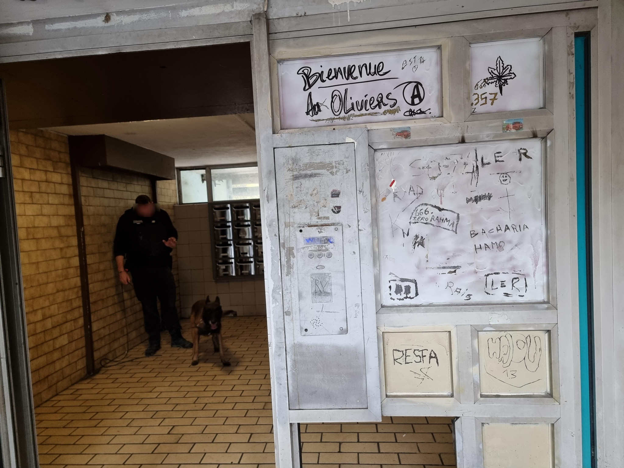 Narcotrafic : l’État met en avant ses résultats
