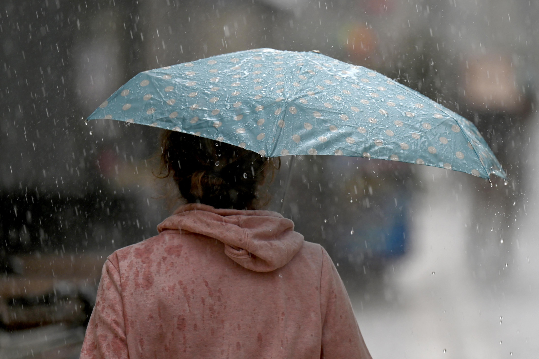 Un hiver exceptionnellement pluvieux, bénéfique pour les nappes phréatiques
