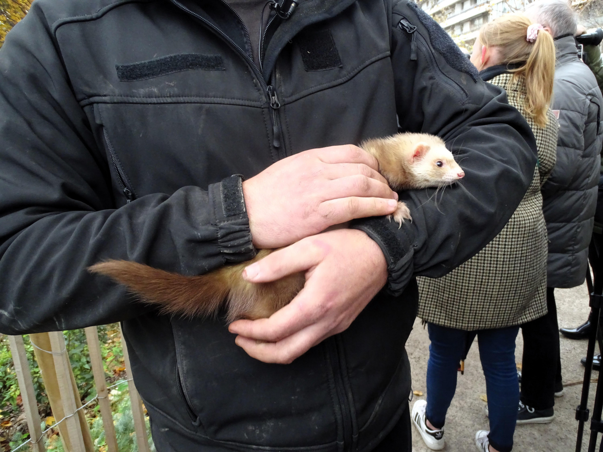 Les droits des animaux s’invitent dans la campagne