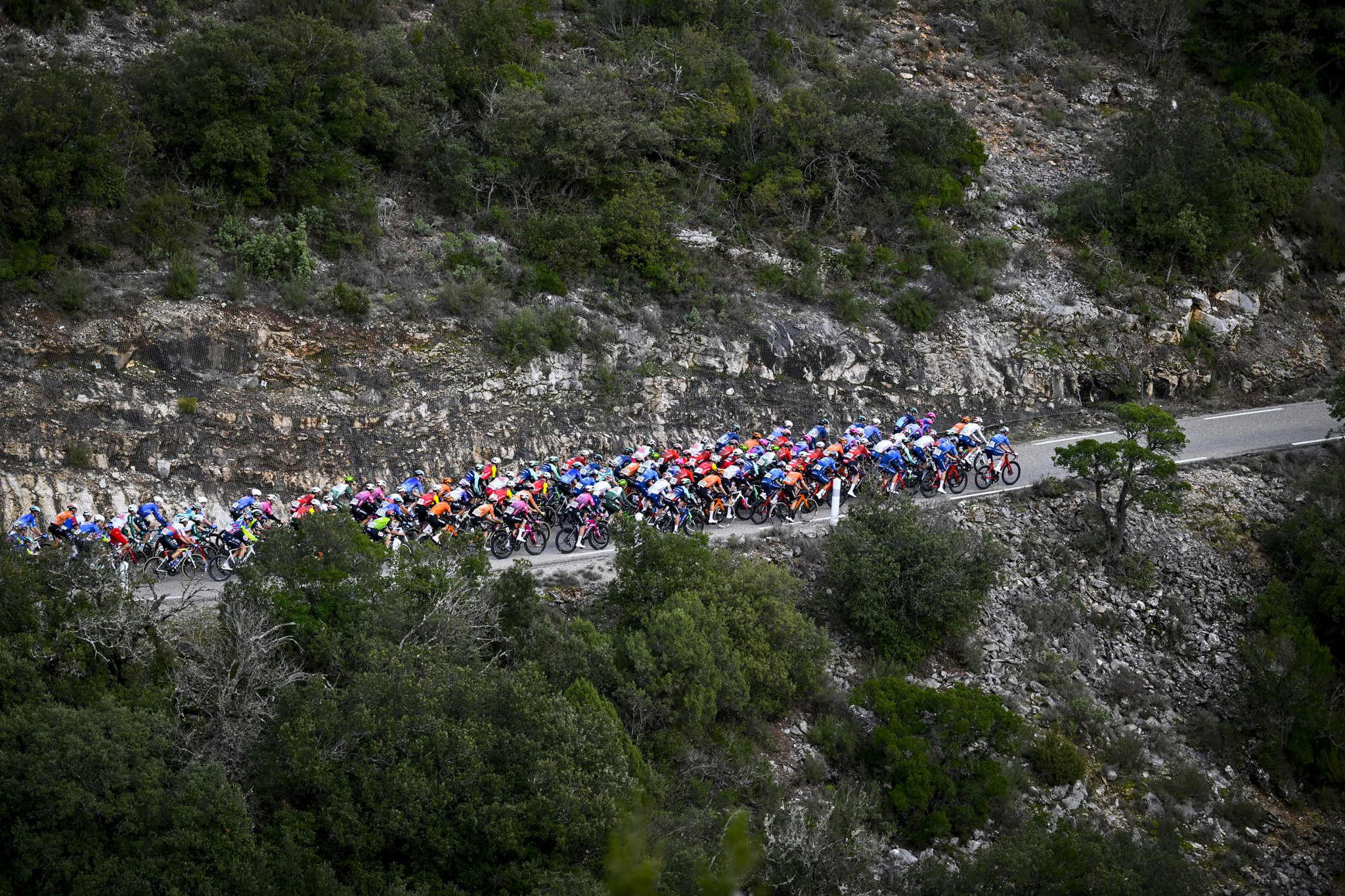 Le Grand Prix de Marseille ouvre la saison en roue libre