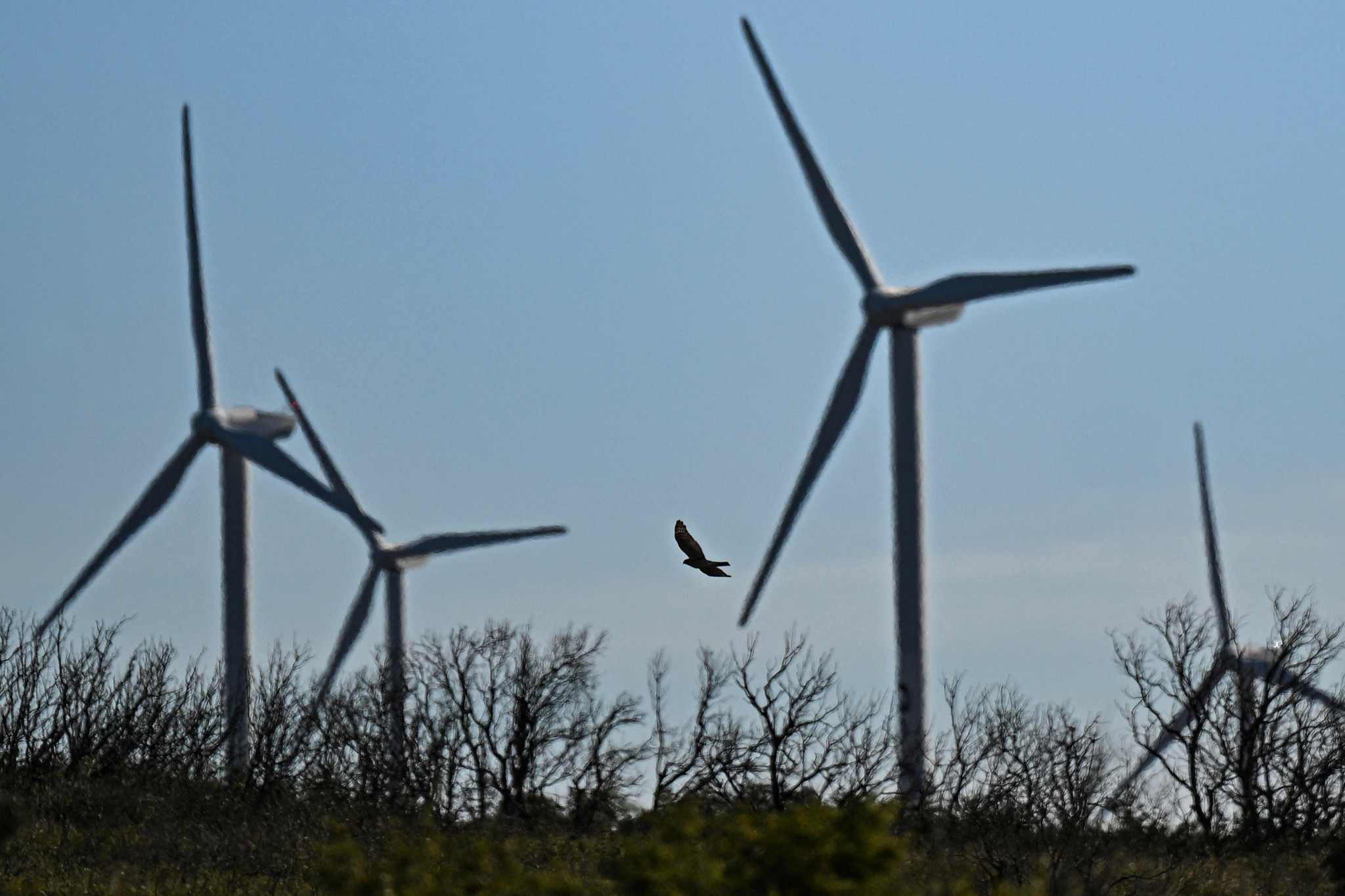 Hérault : les éoliennes de Bernagues vont redémarrer