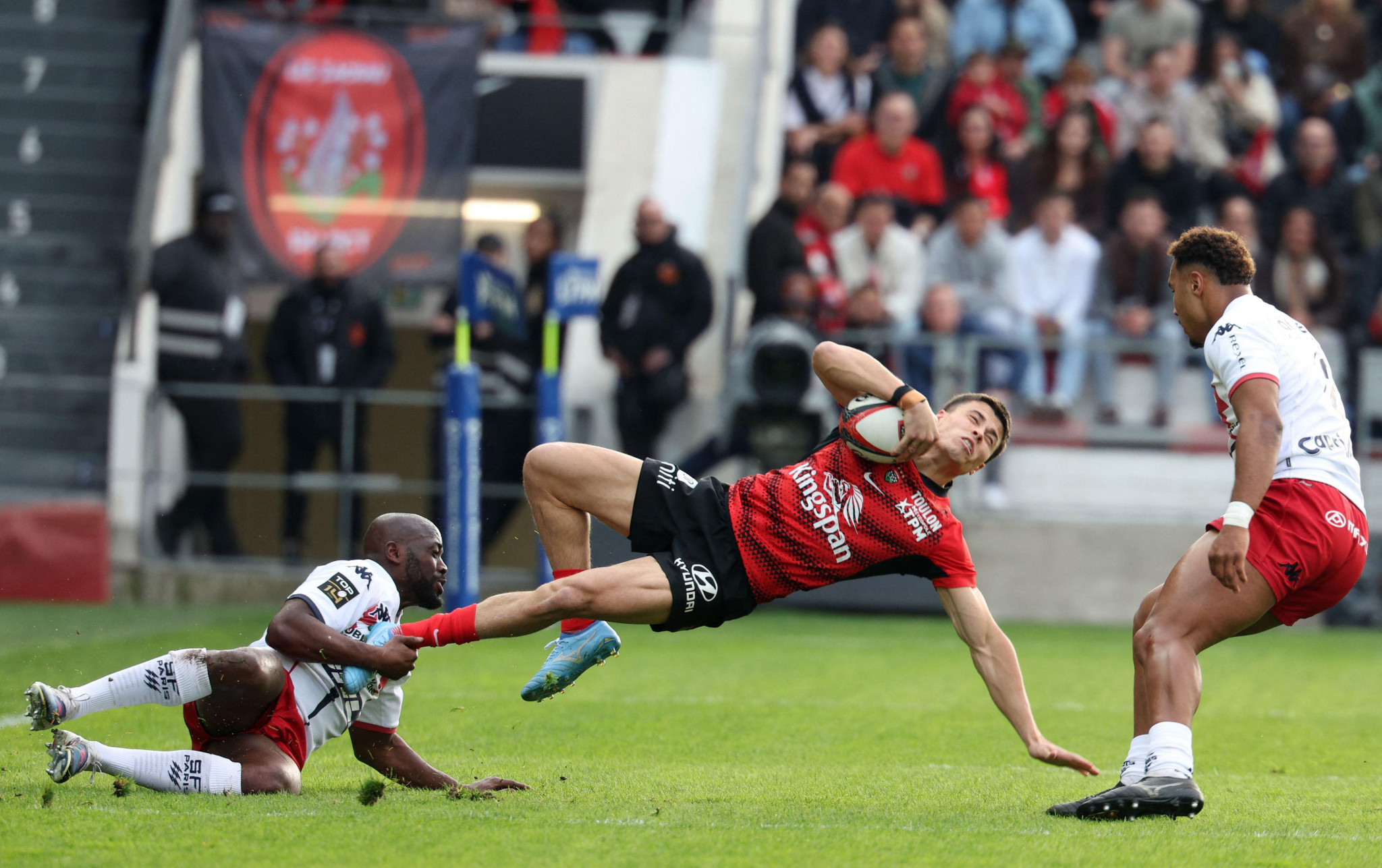 Top 14 : Toulon au pied du mur sur le terrain de Perpignan