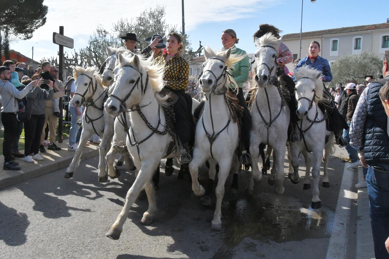[Afecioun] La grande famille de la Bouvine rassemblée à Aimargues
