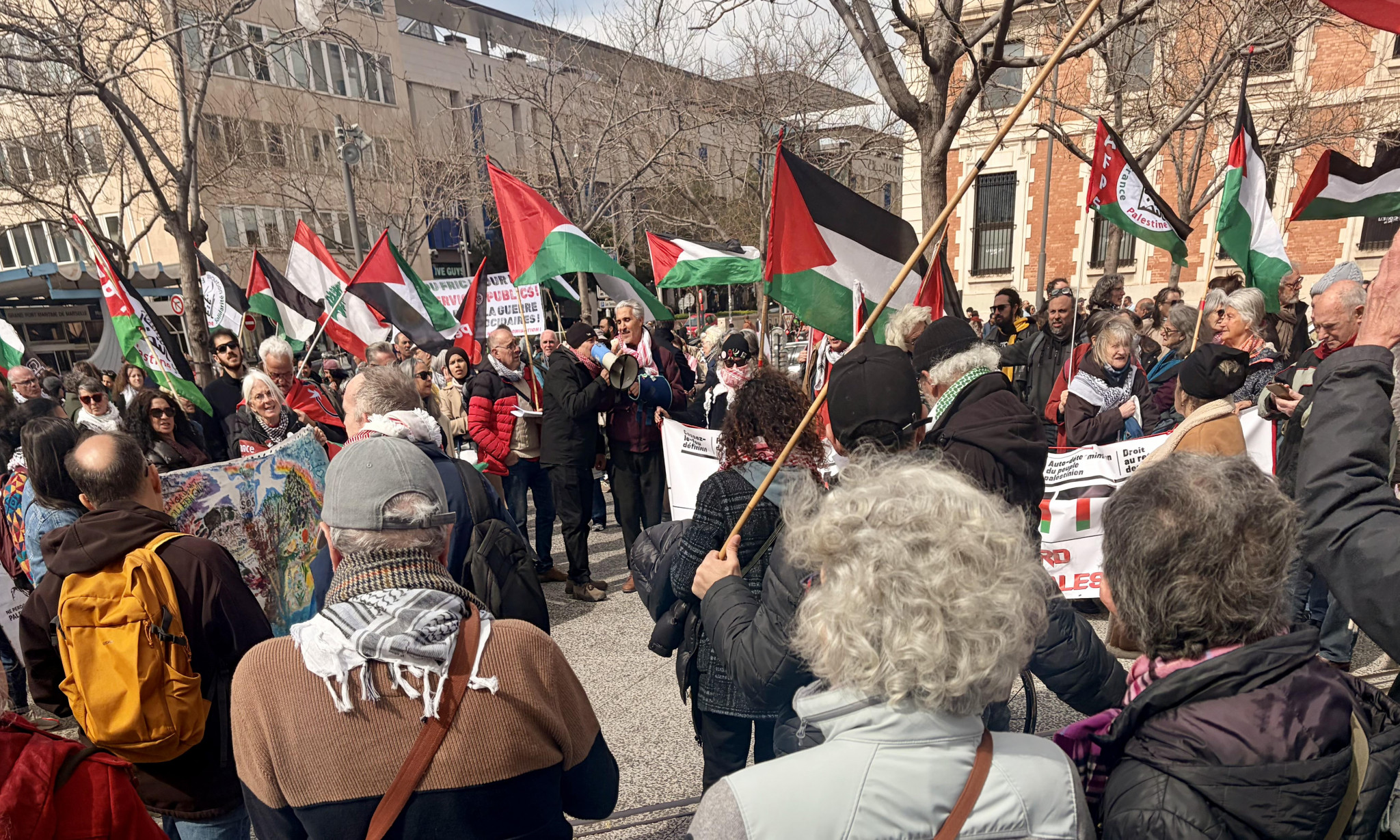 Plusieurs centaines de personnes mobilisées pour la Palestine