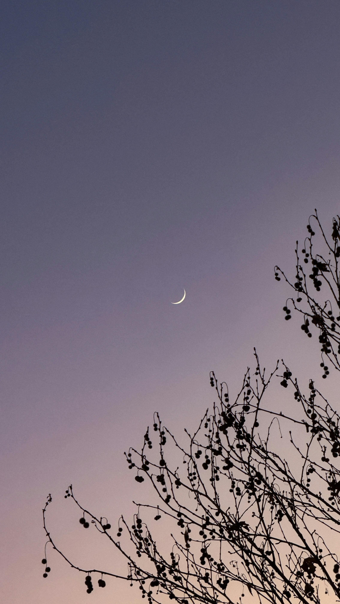 Le ciel célèbre le retour du printemps avec l’équinoxe
