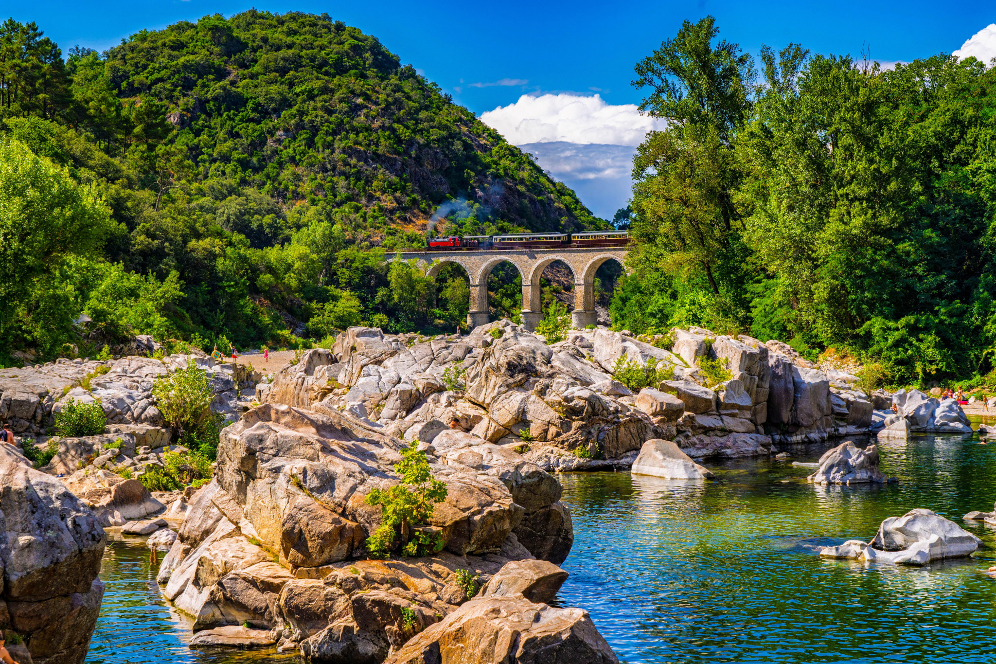 Le train à vapeur des Cévennes fête ses 40 ans