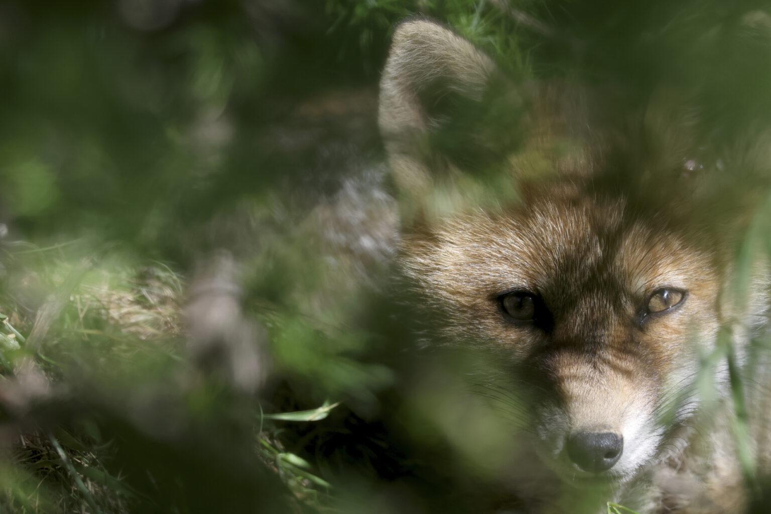 [Concours photo] Poser un regard sensible sur la nature
