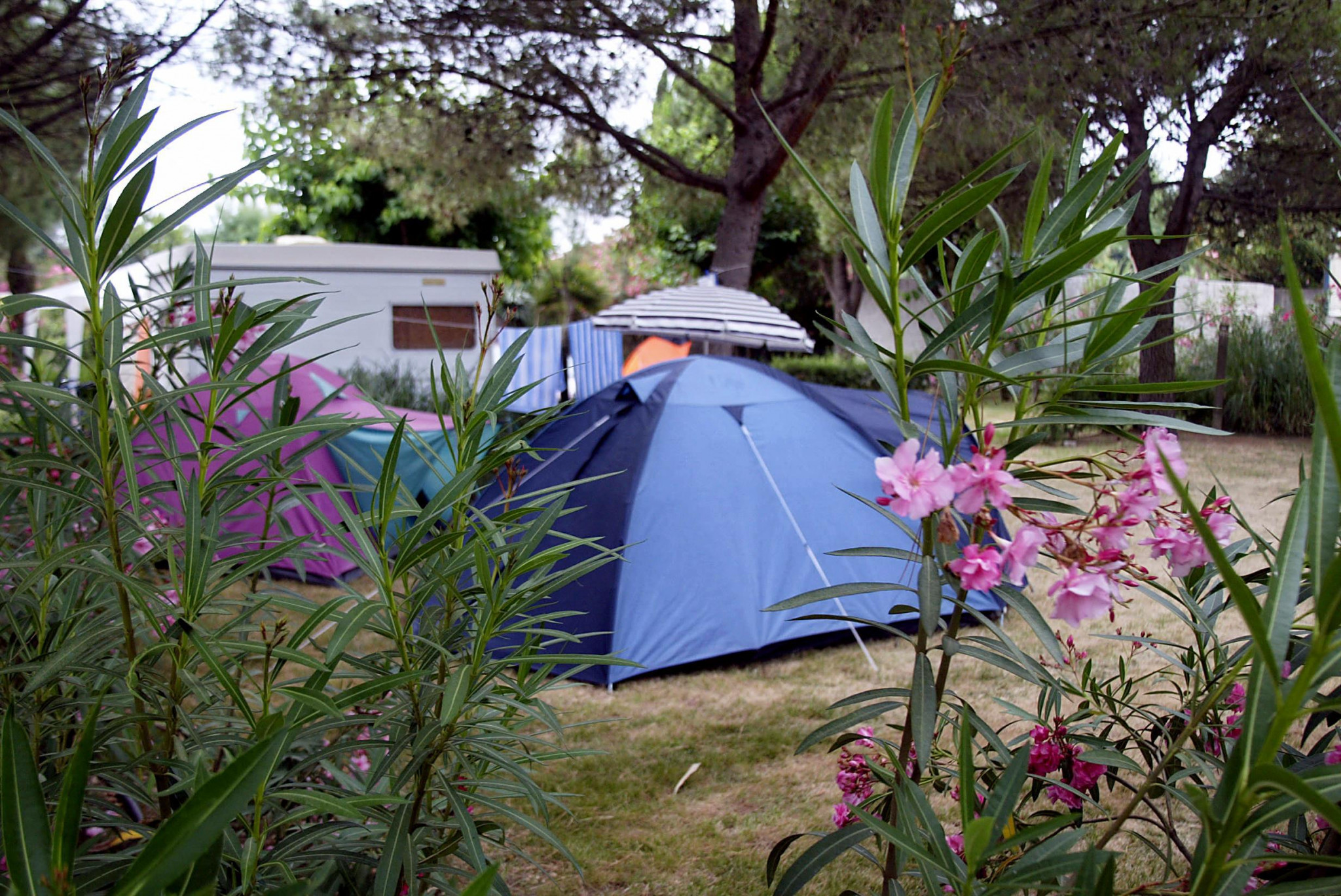 Tourisme : bilan mitigé en Occitanie