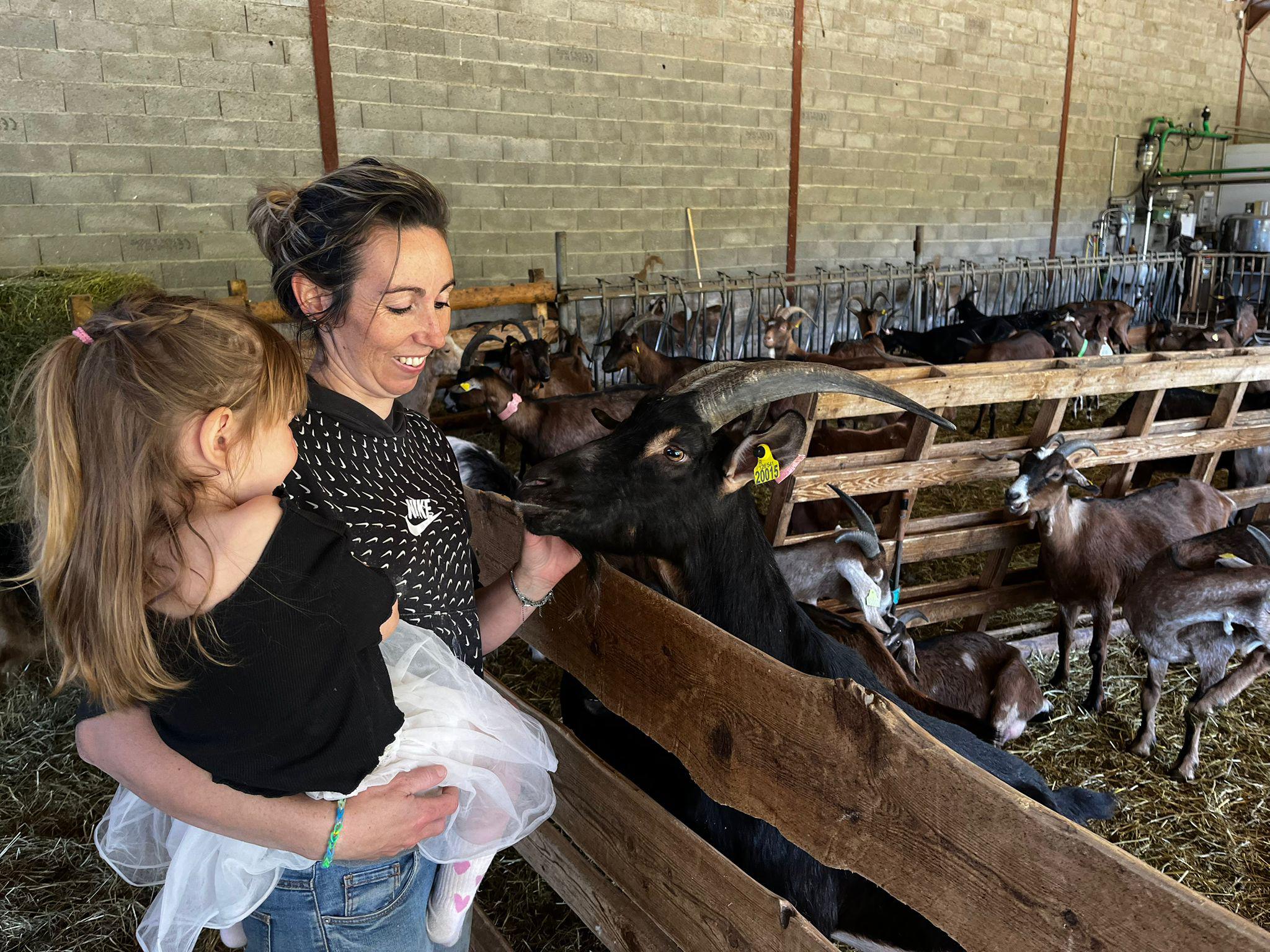 Les fermes des Alpes s’ouvrent aux visiteurs