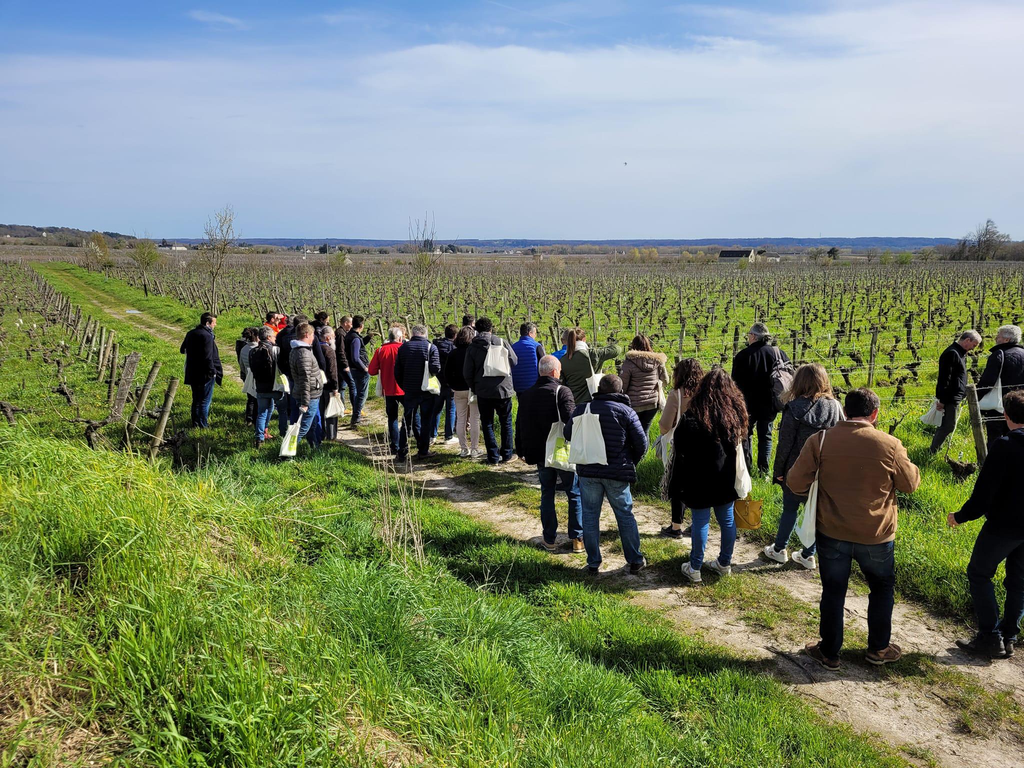 L’œnotourisme, une priorité pour les Vignerons Indépendants