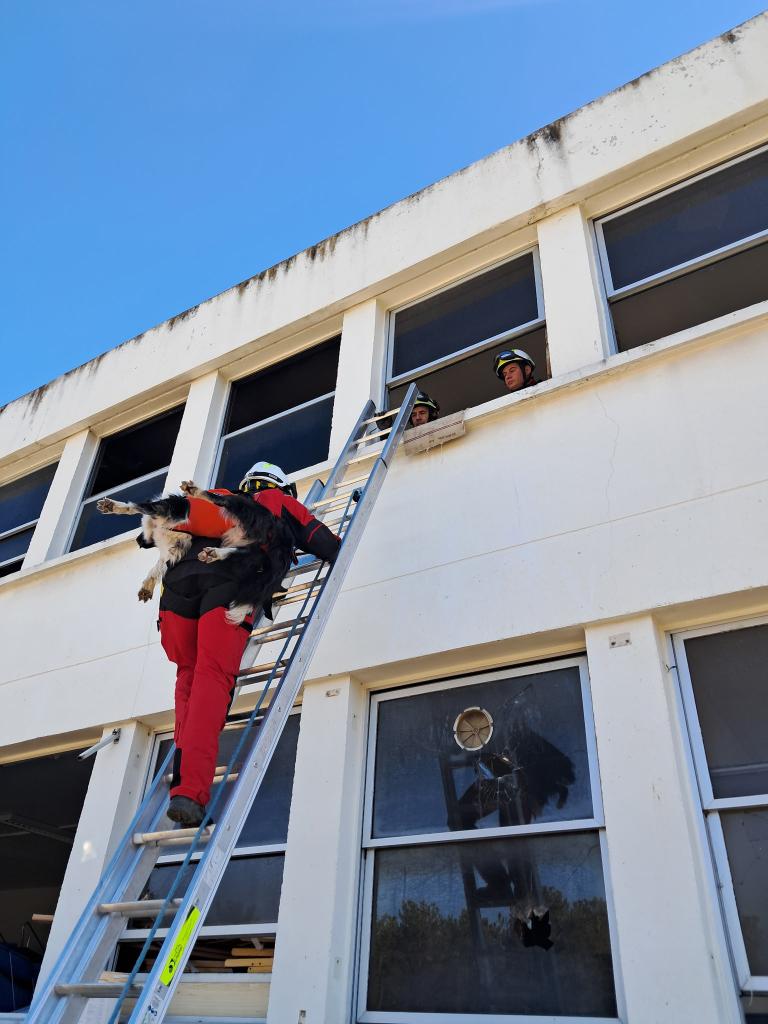 Les pompiers en exercice déblaiement à Aix