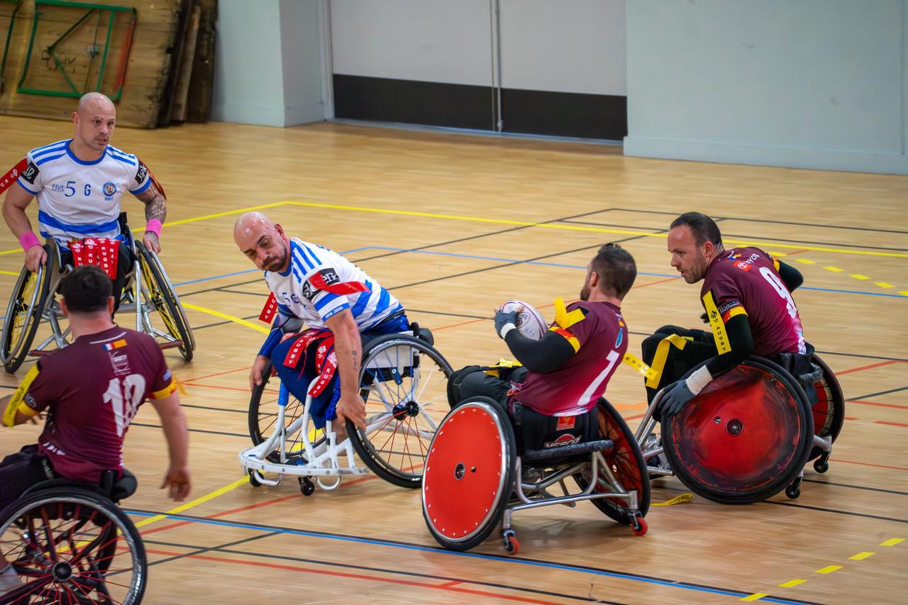 Les Dragons catalans ont été plus forts que les Bisons du SO Avignon