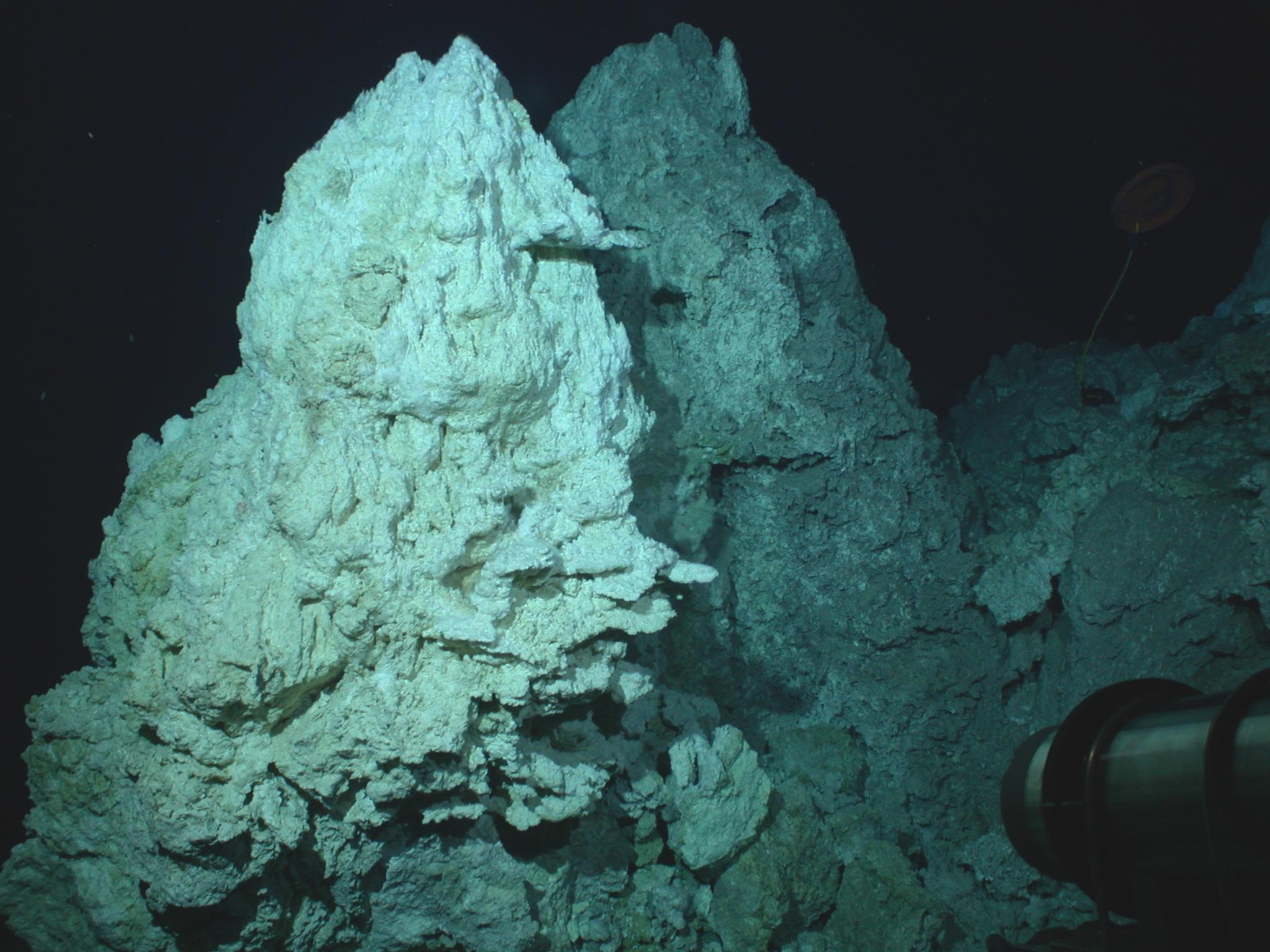 [Science] Origine de la vie : sur les traces des premières cellules au fond de l’océan