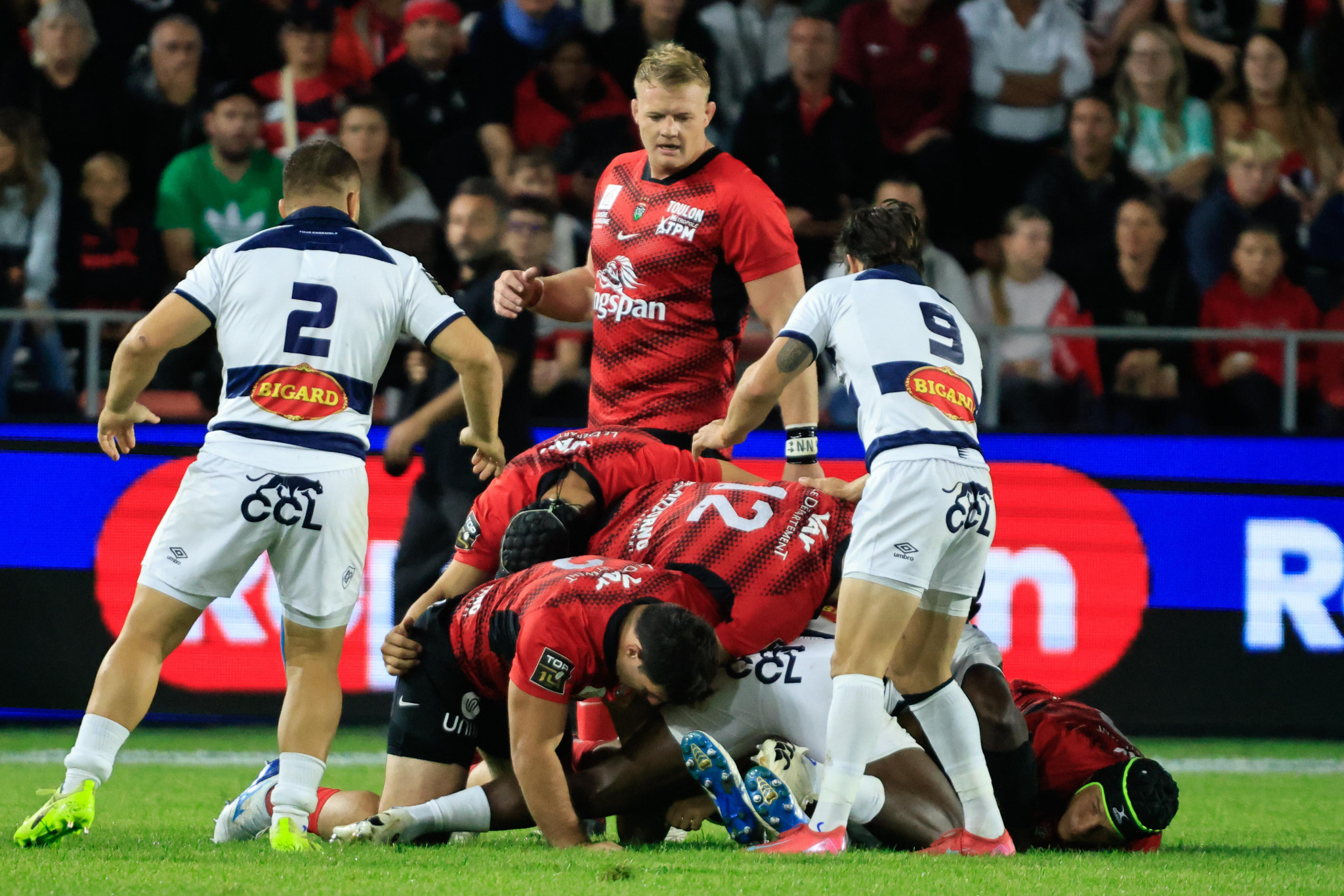 David Ribbans, le leader retrouvé qui a porté Toulon en Coupe d’Europe