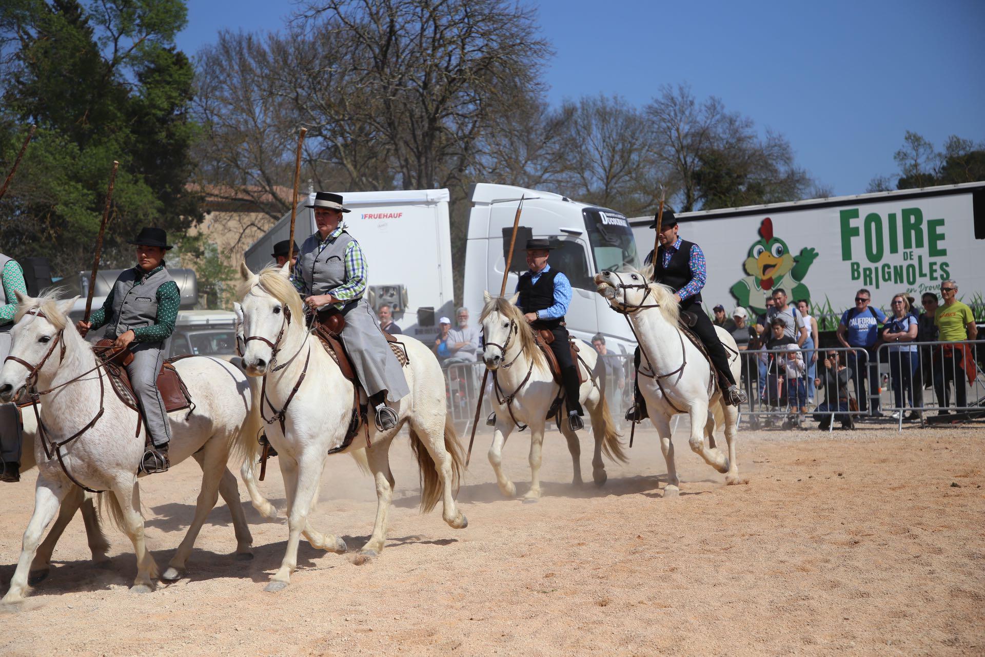 De nouvelles expériences à la Foire de Brignoles