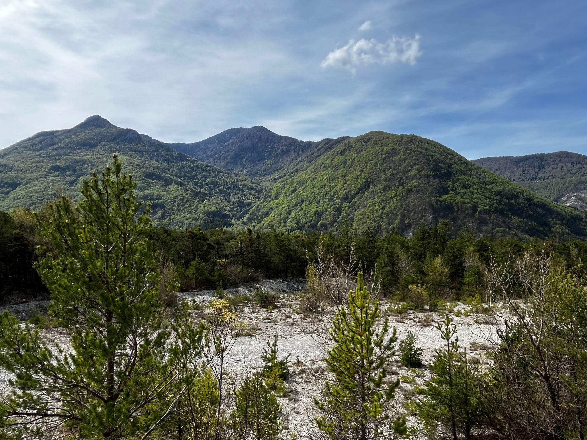 Un projet photovoltaïque contesté dans une forêt des Hautes-Alpes