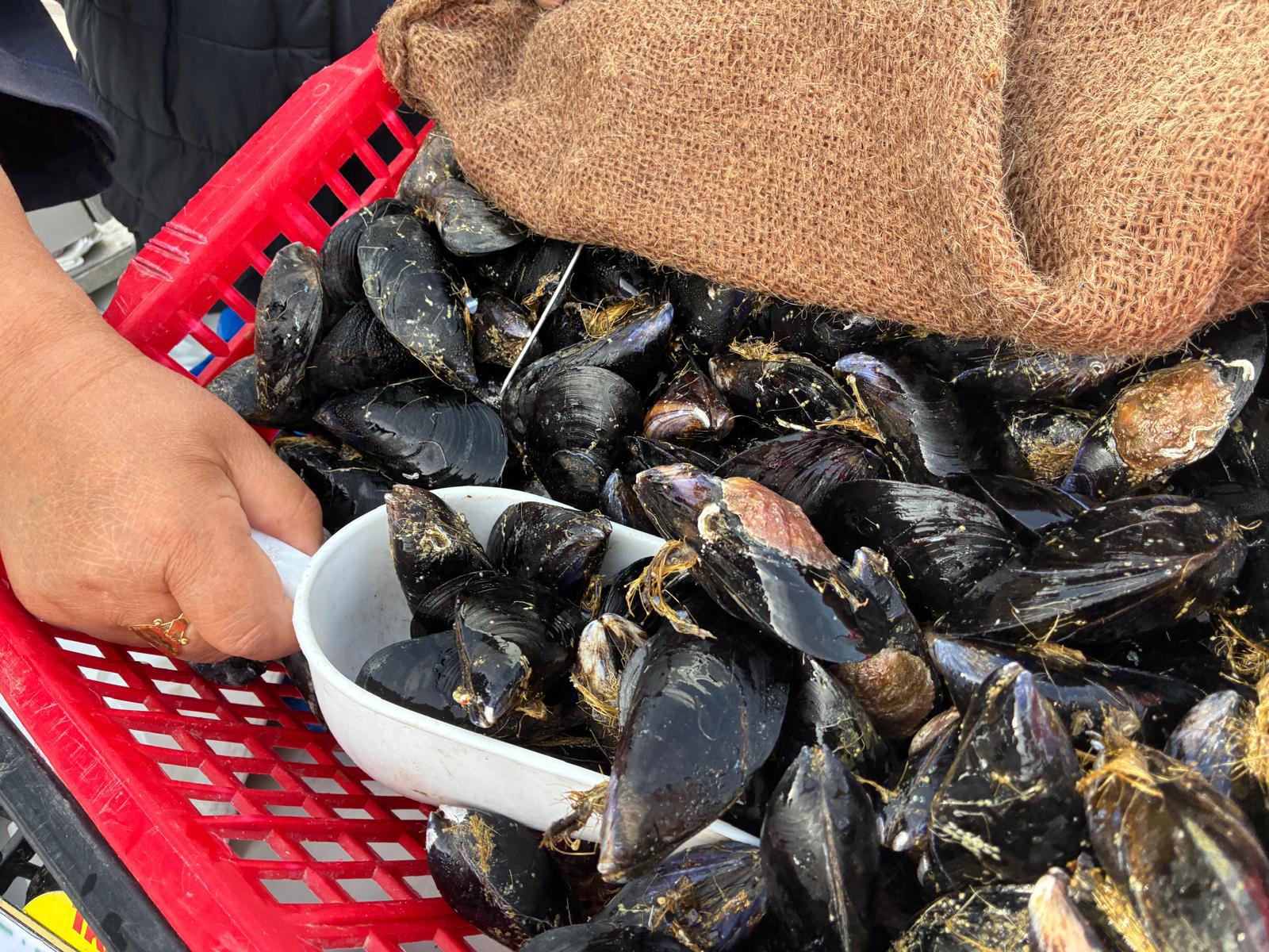 La recette du Vieux-Port : les moules Poulette